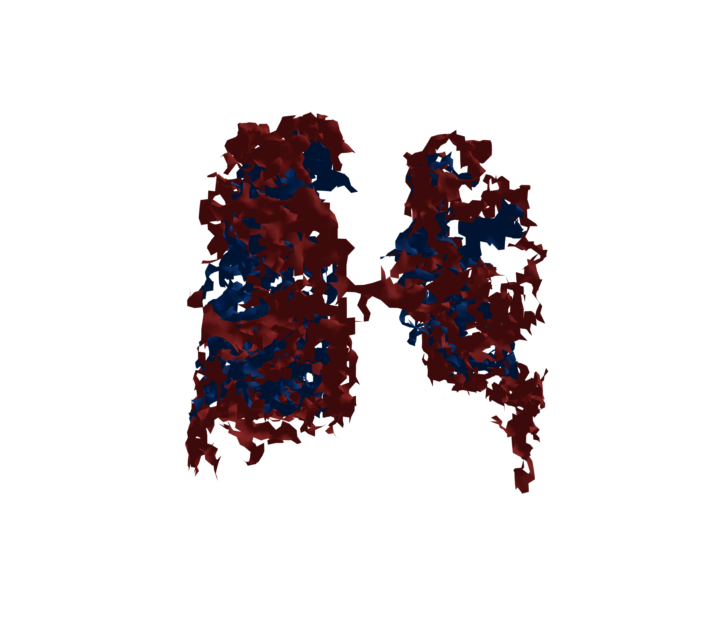 Surface Mesh - Back View