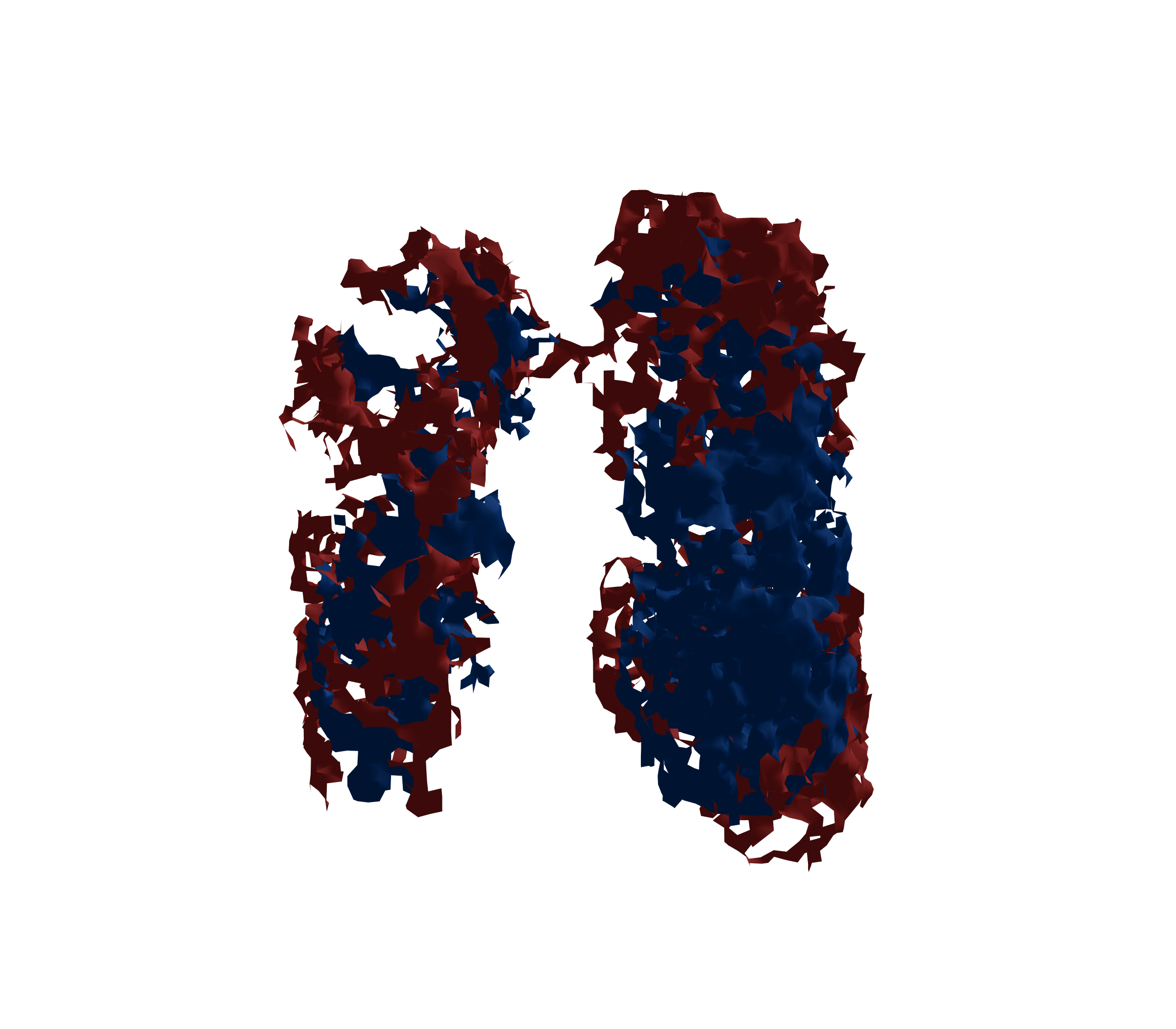 Surface Mesh - Front View