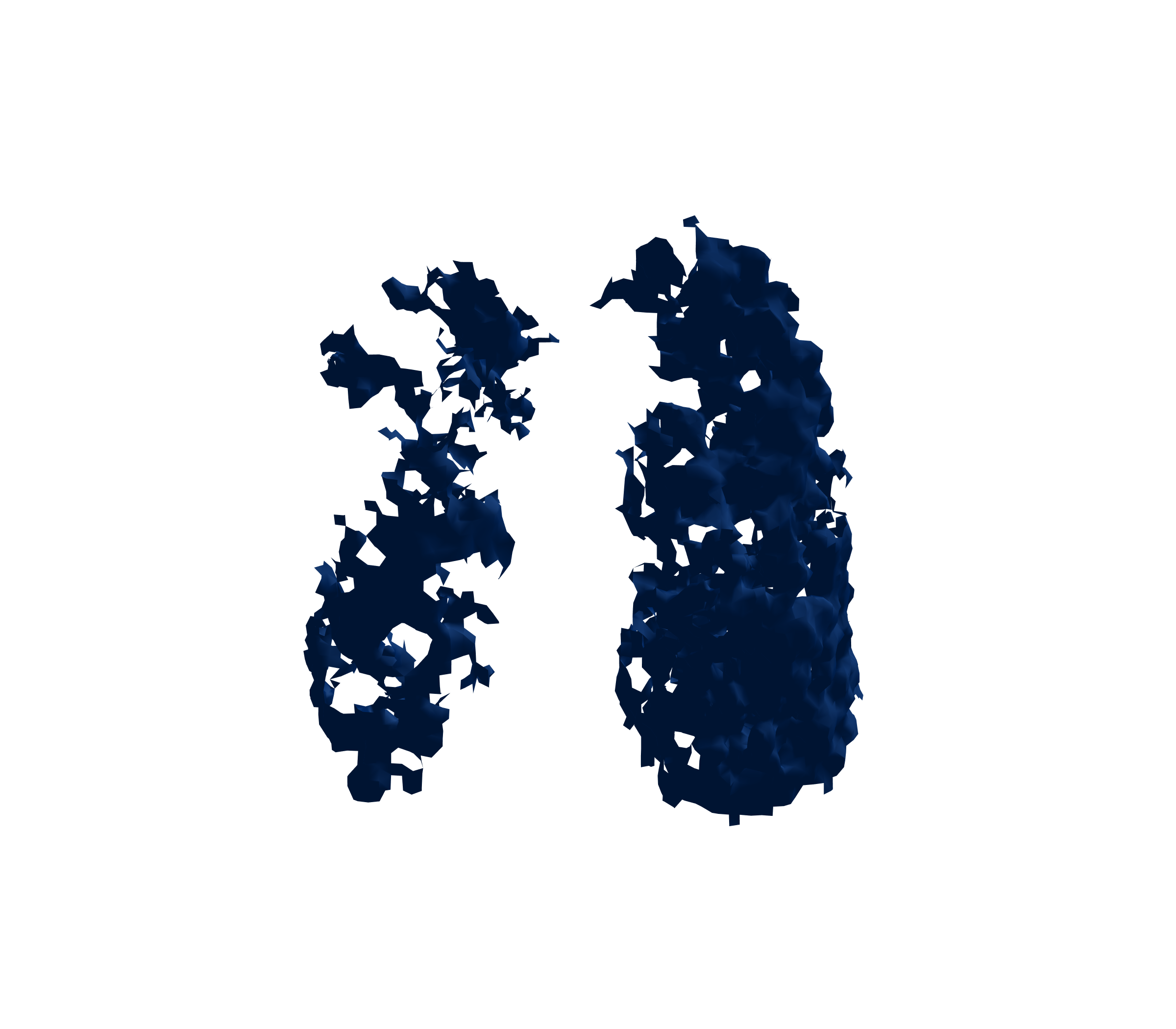 Surface Mesh (Inspiration) - Front View