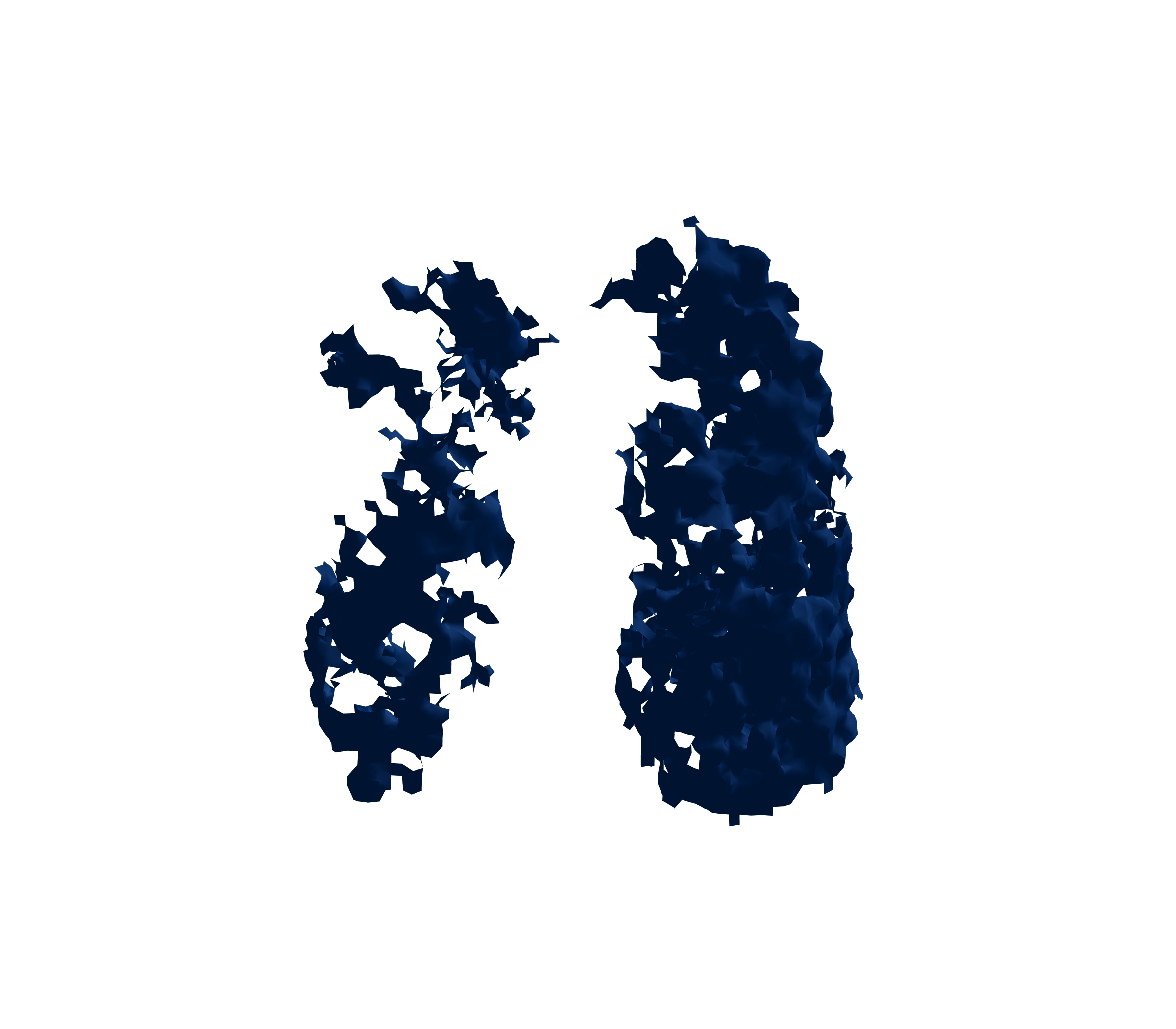 Surface Mesh (Inspiration) - Front View