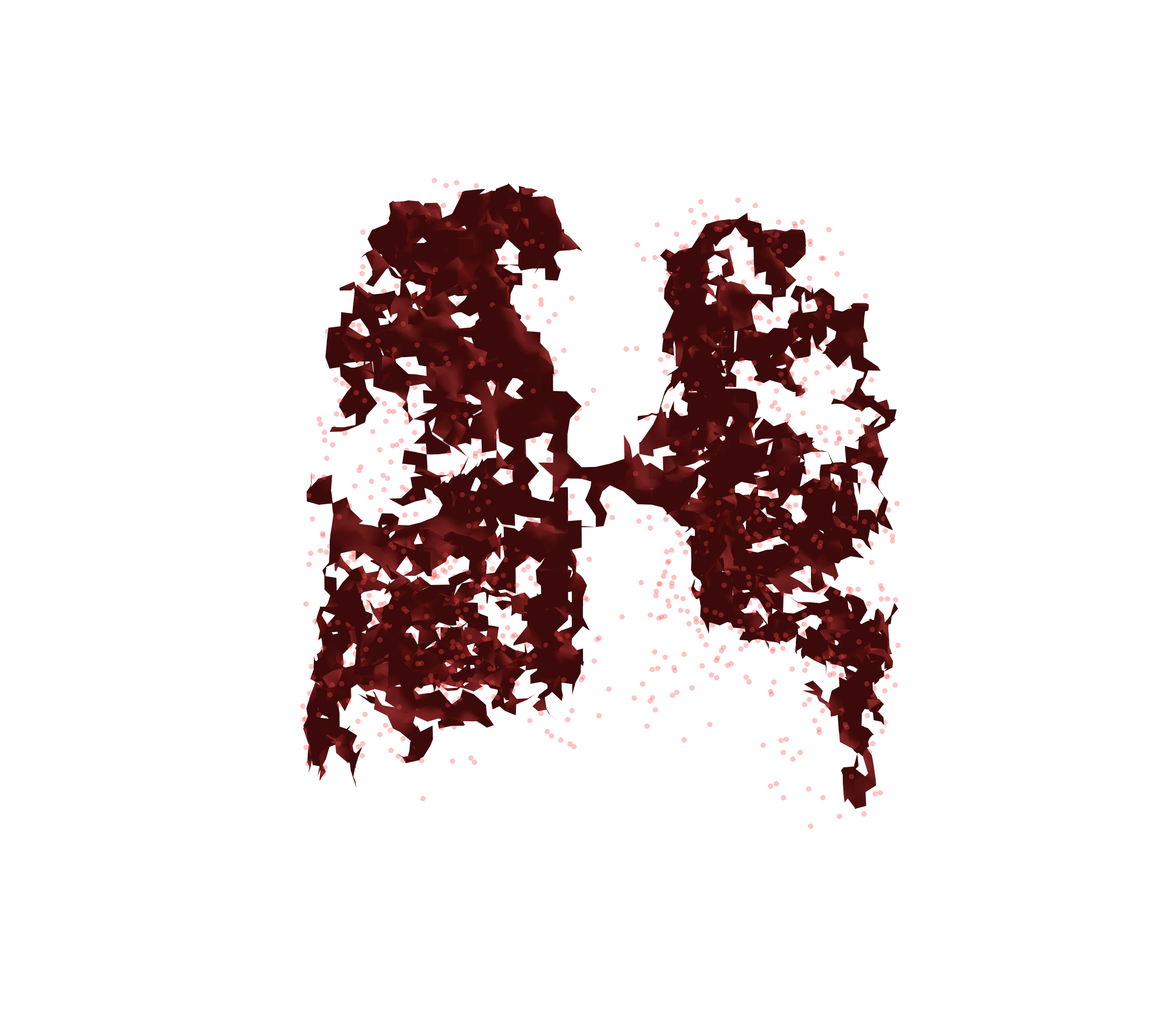 Combined Visualization (Expiration) - Back View