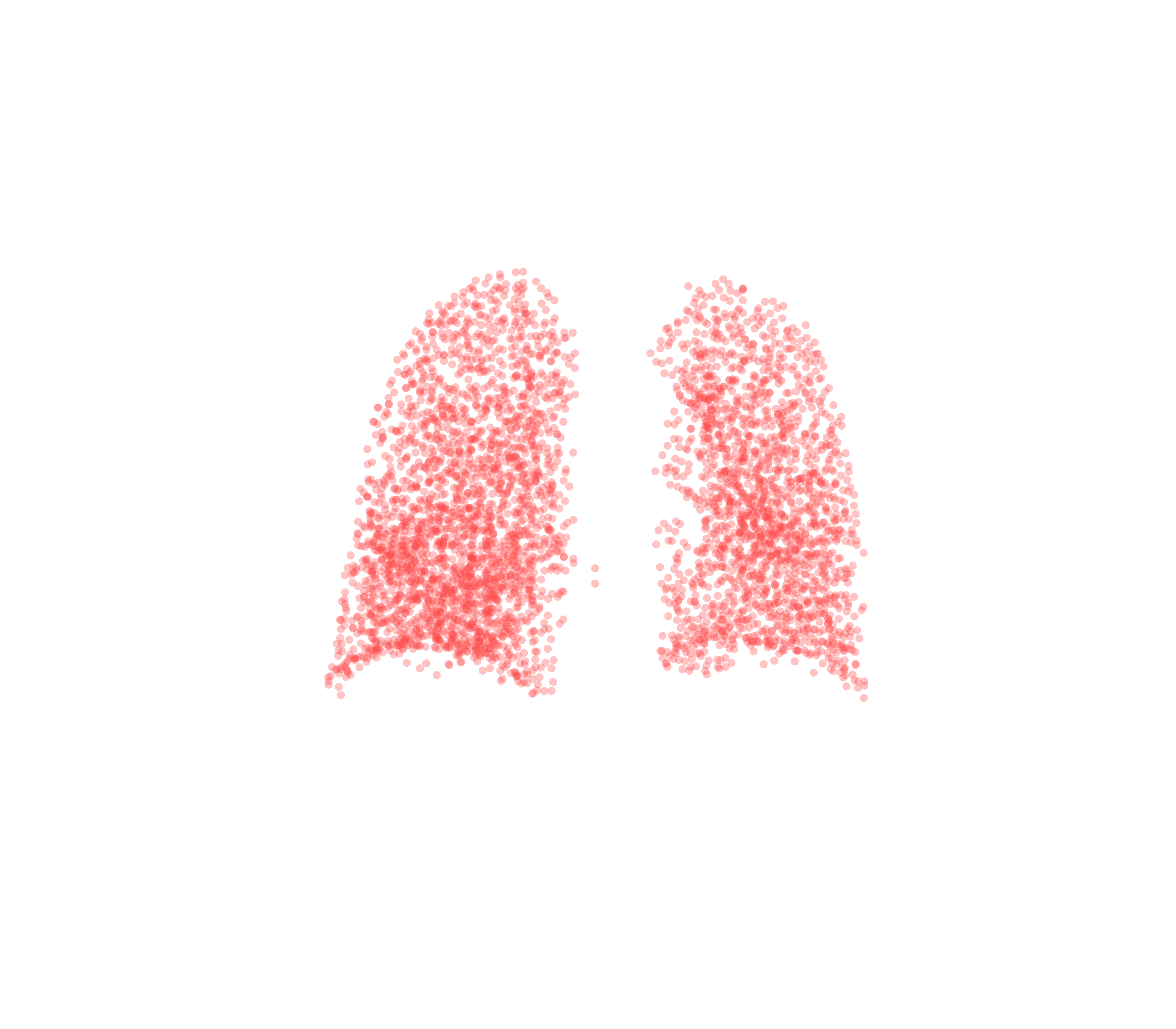 Point Cloud (Expiration) - Back View