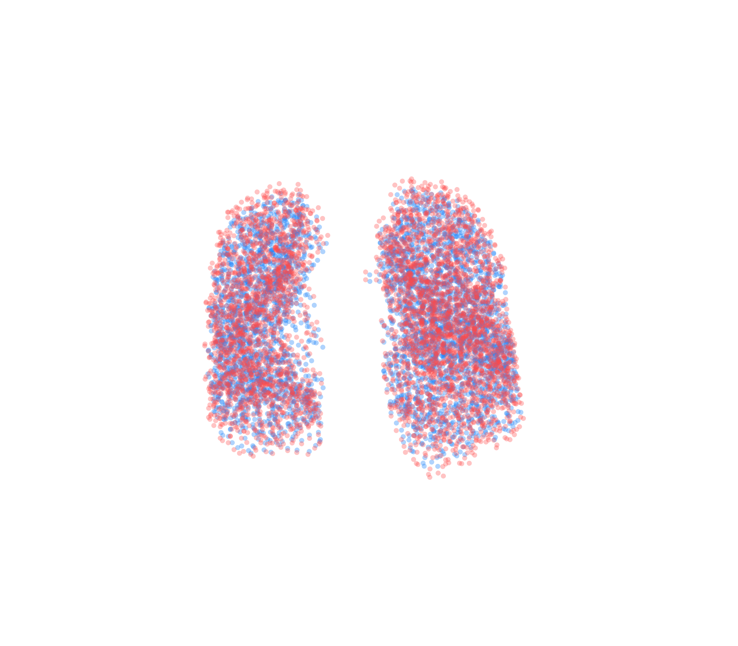 Point Cloud - Front View
