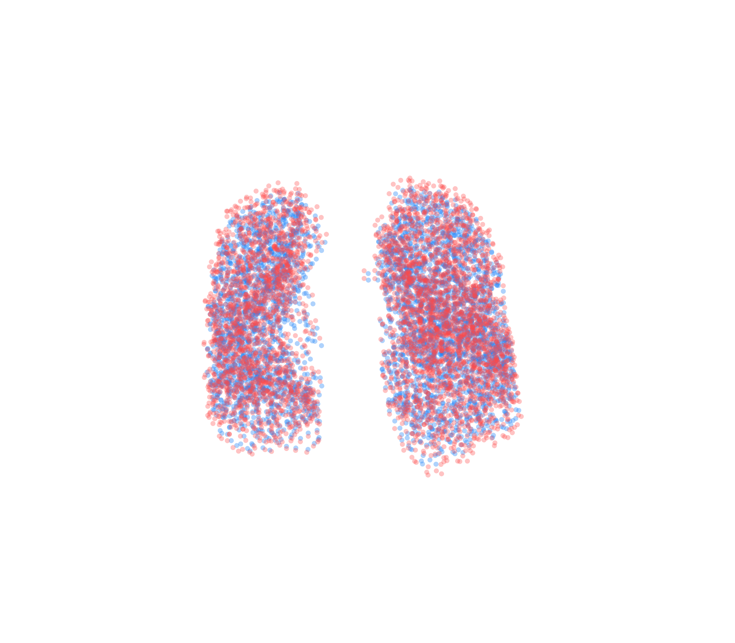 Point Cloud - Front View