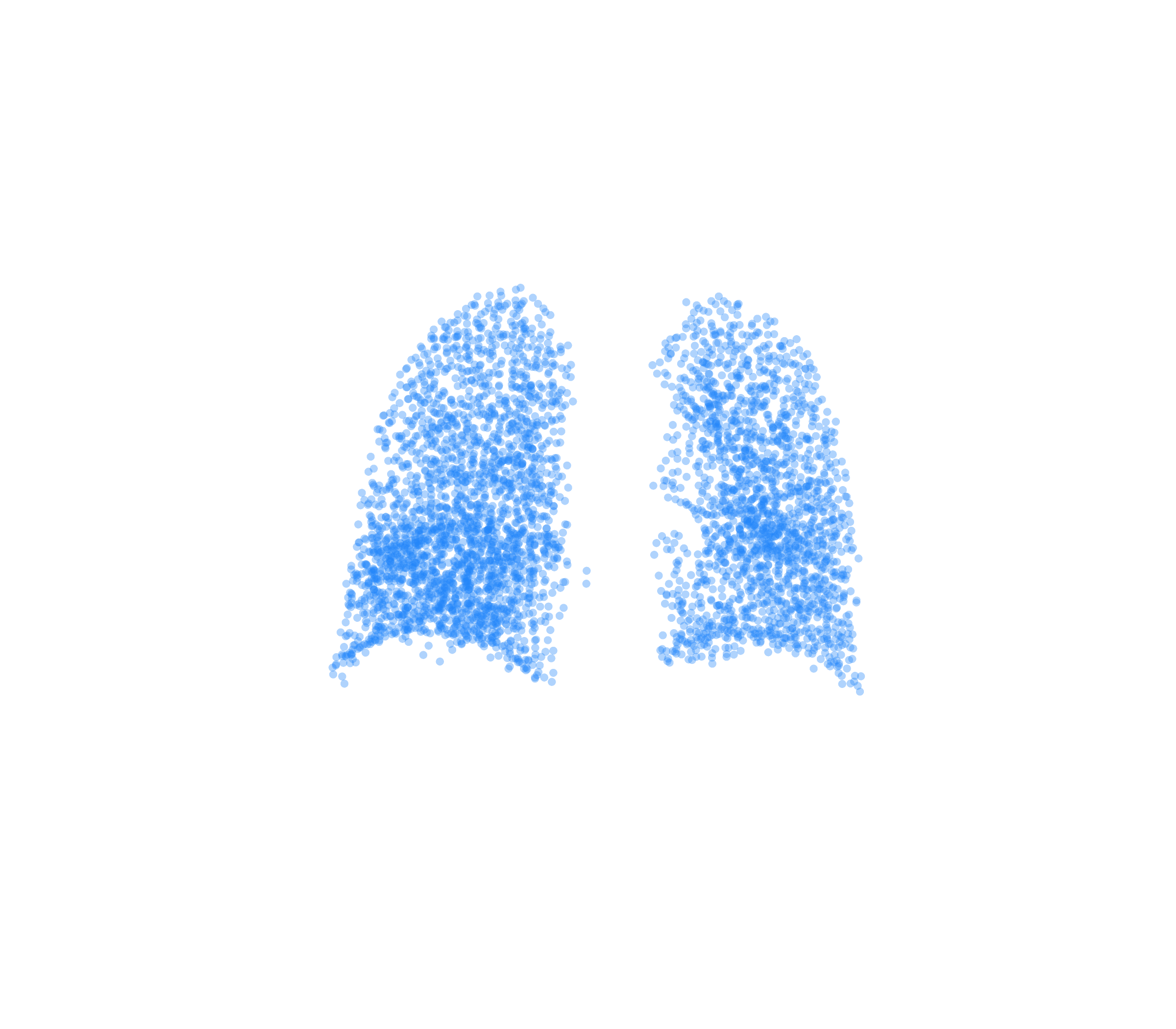 Point Cloud (Inspiration) - Back View