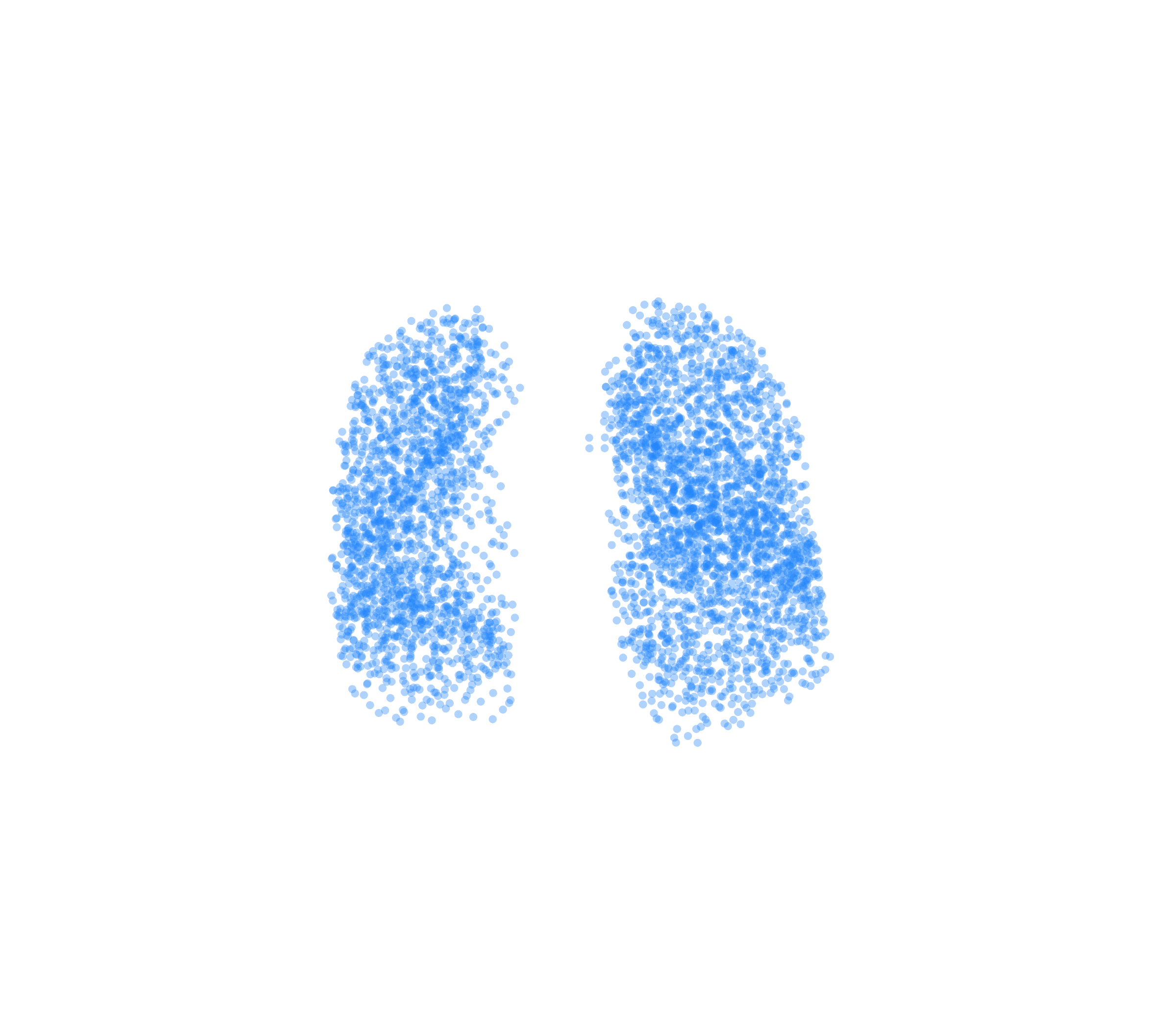 Point Cloud (Inspiration) - Front View