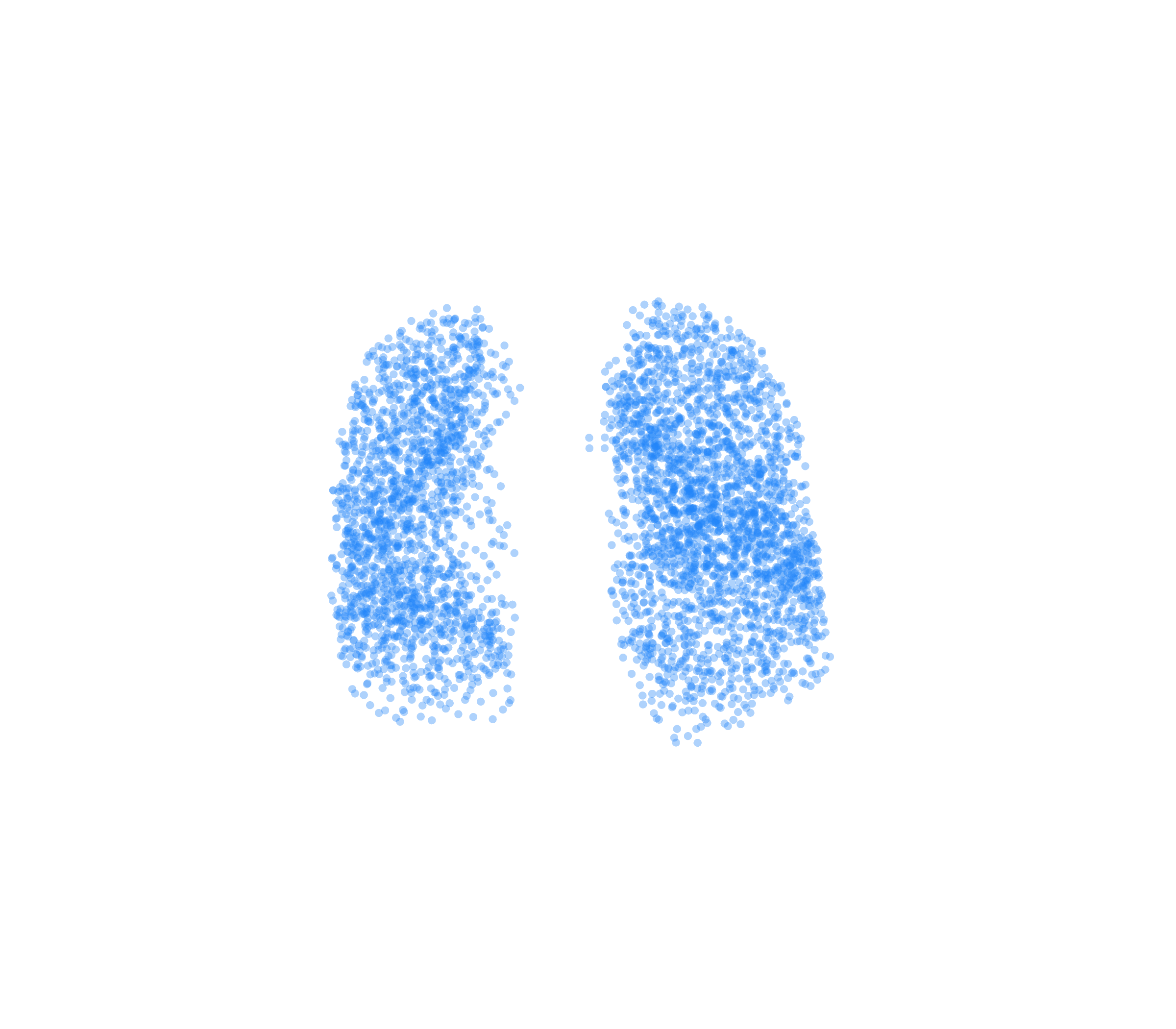 Point Cloud (Inspiration) - Front View