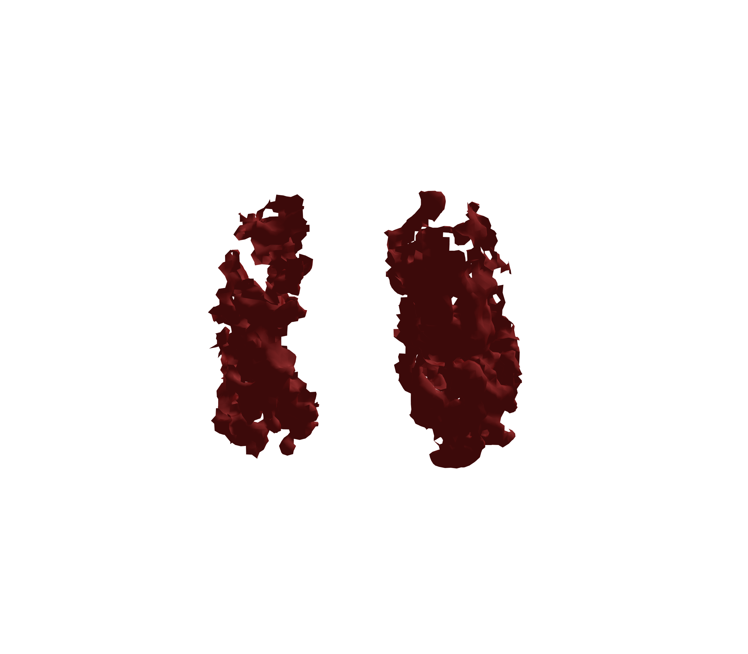 Surface Mesh (Expiration) - Front View