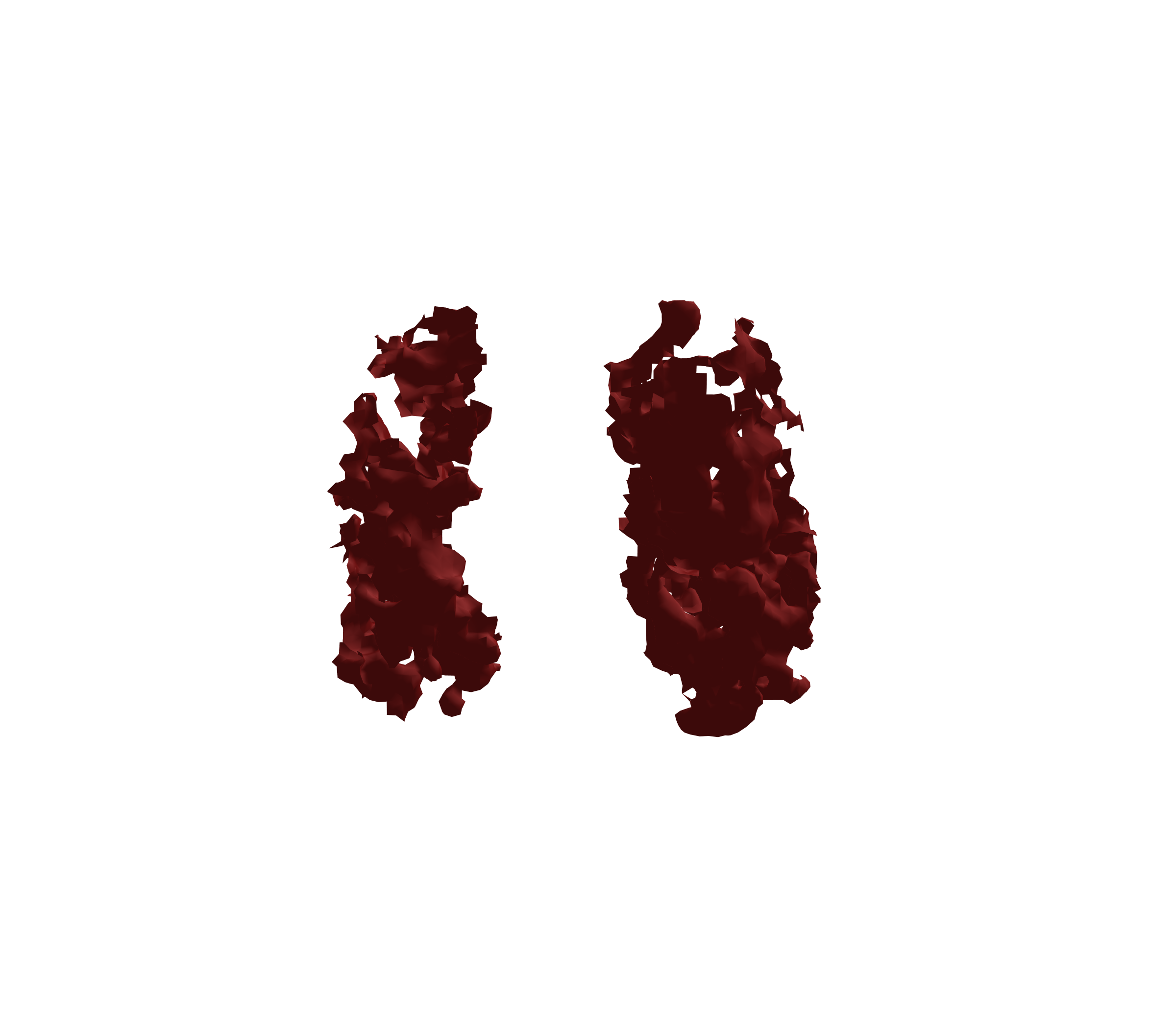 Surface Mesh (Expiration) - Front View