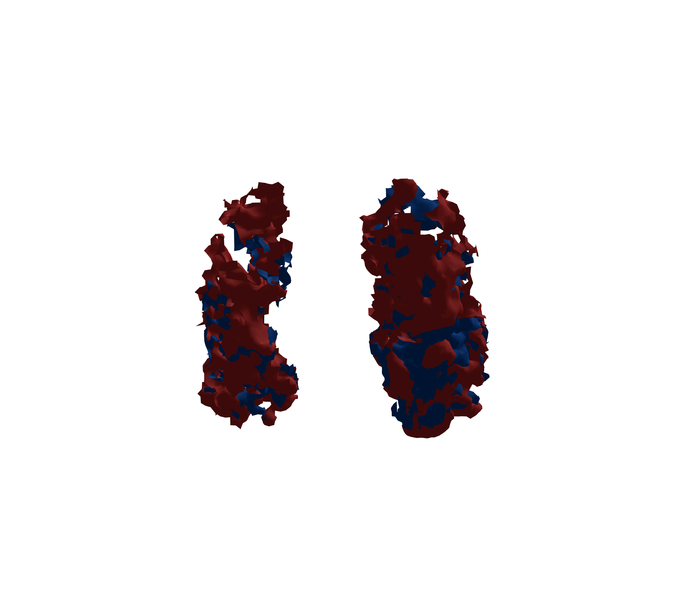 Surface Mesh - Front View