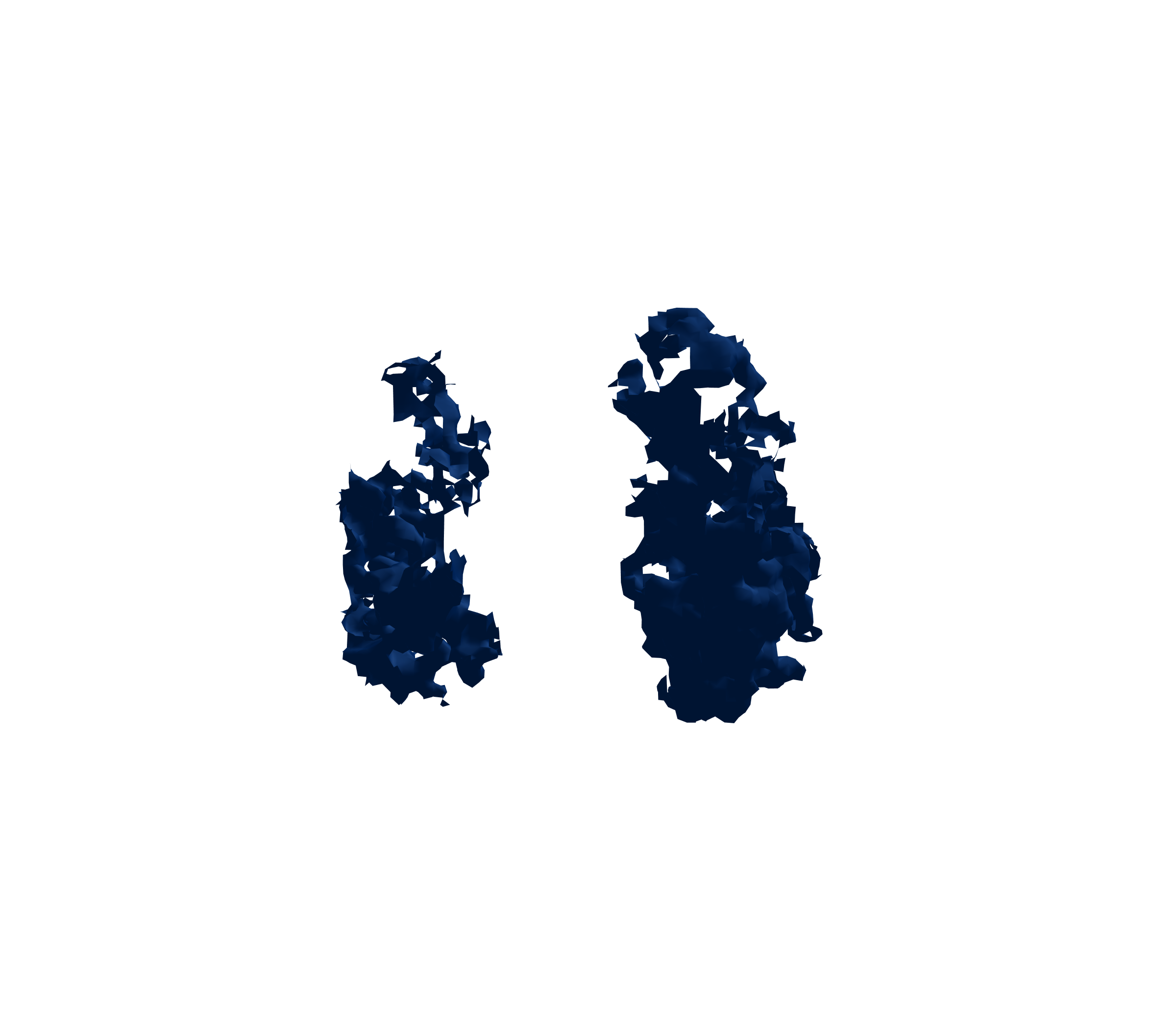 Surface Mesh (Inspiration) - Front View