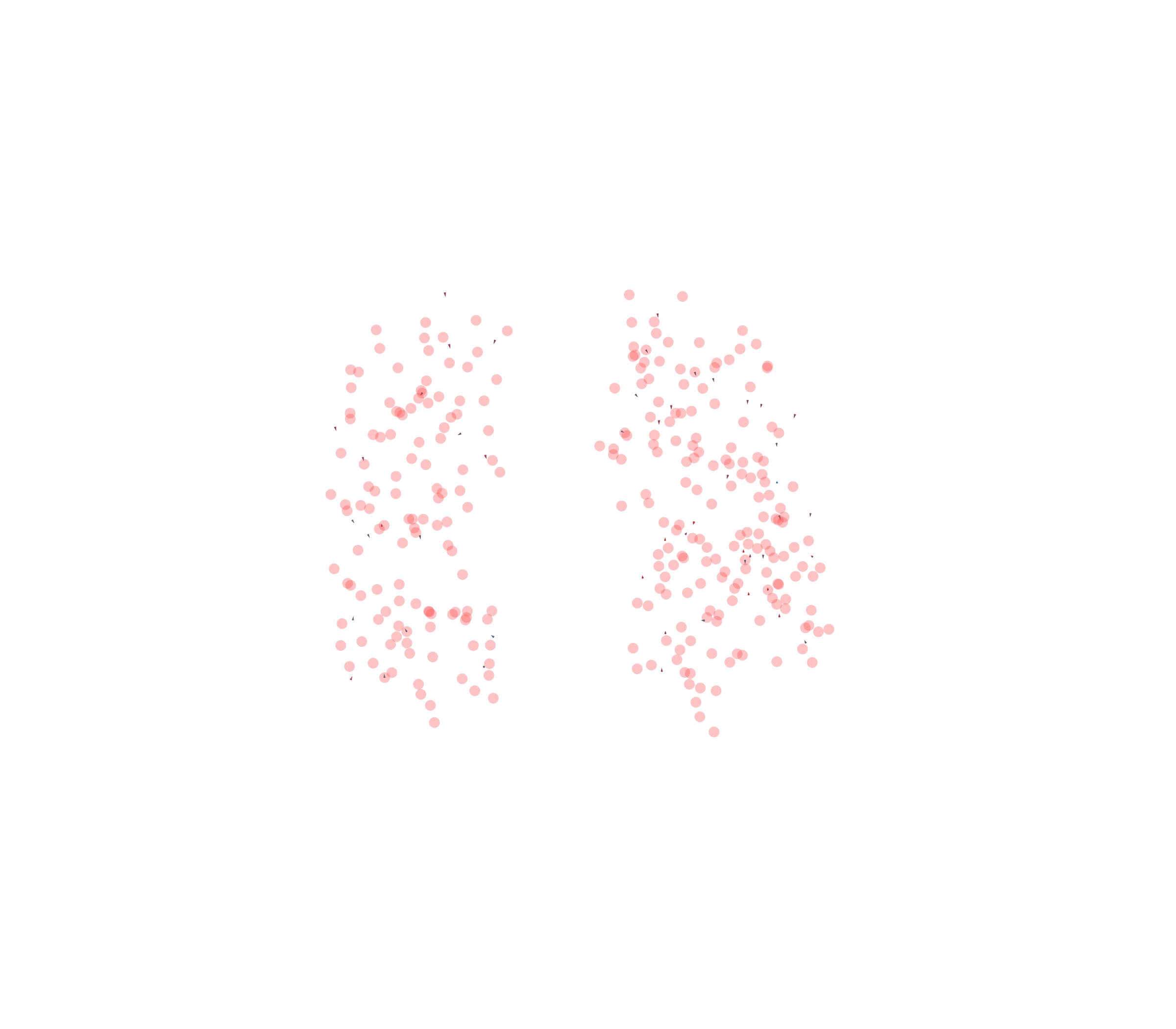 Displacement Vectors - Front View