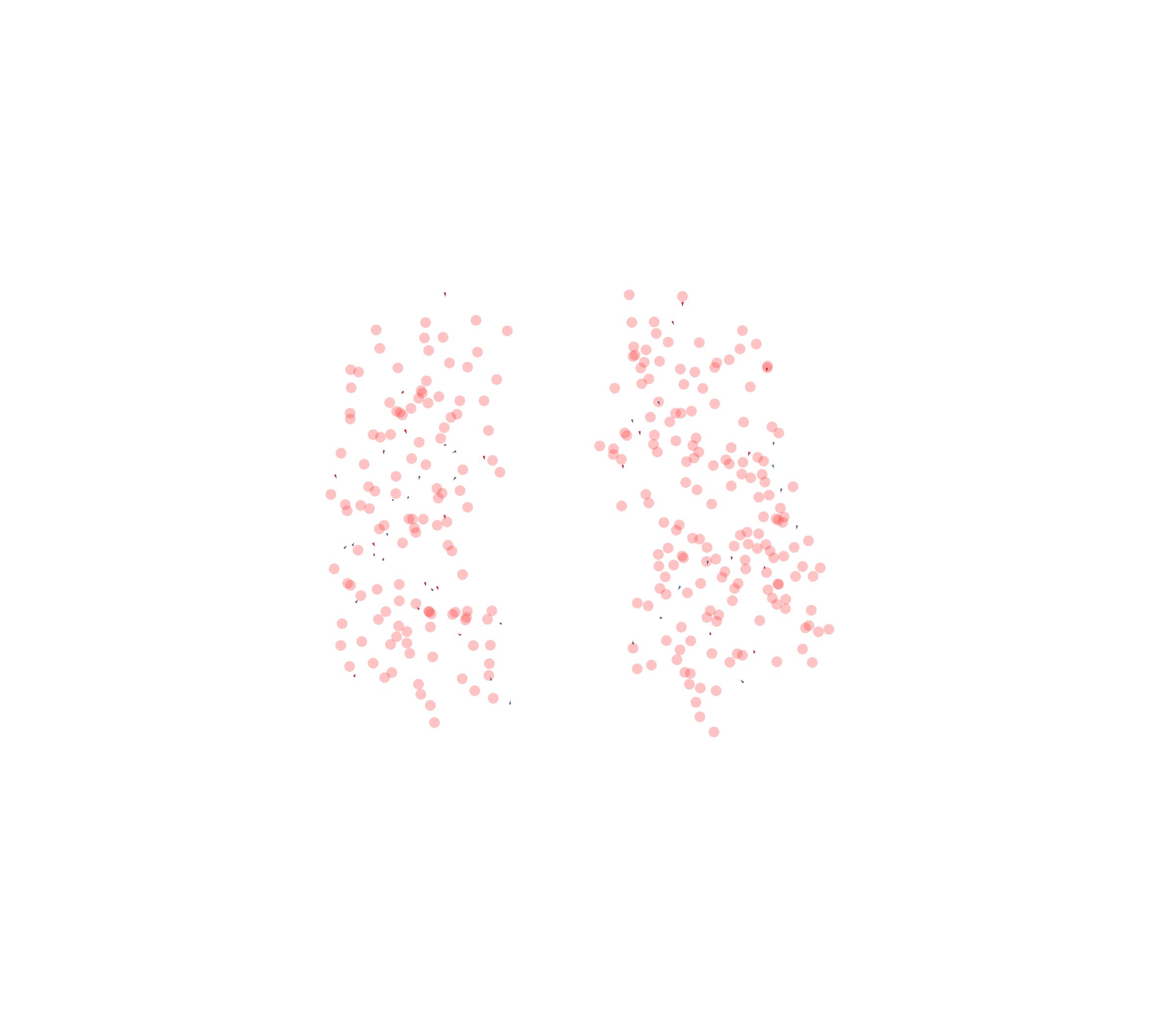 Displacement Vectors - Front View