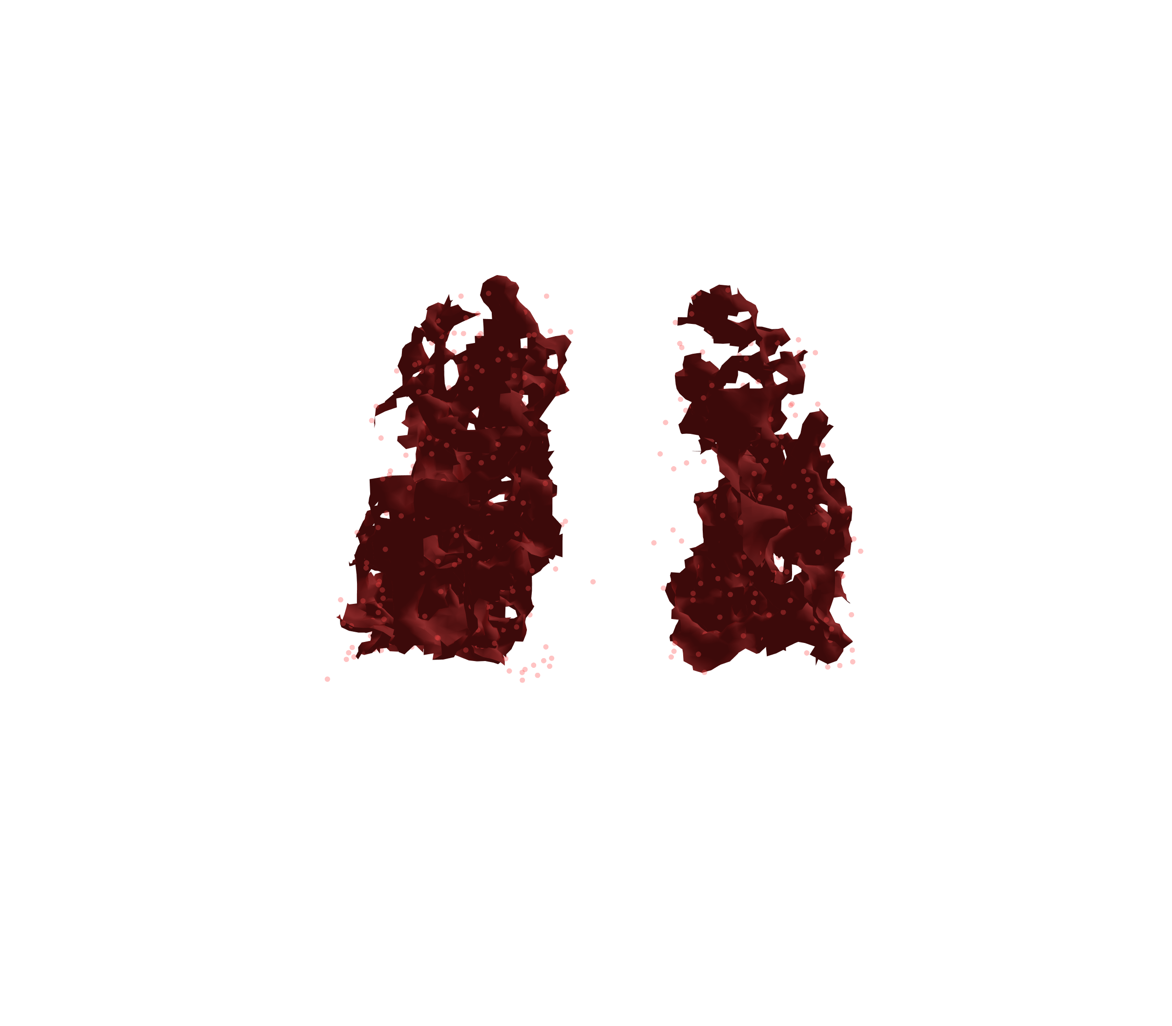 Combined Visualization (Expiration) - Back View