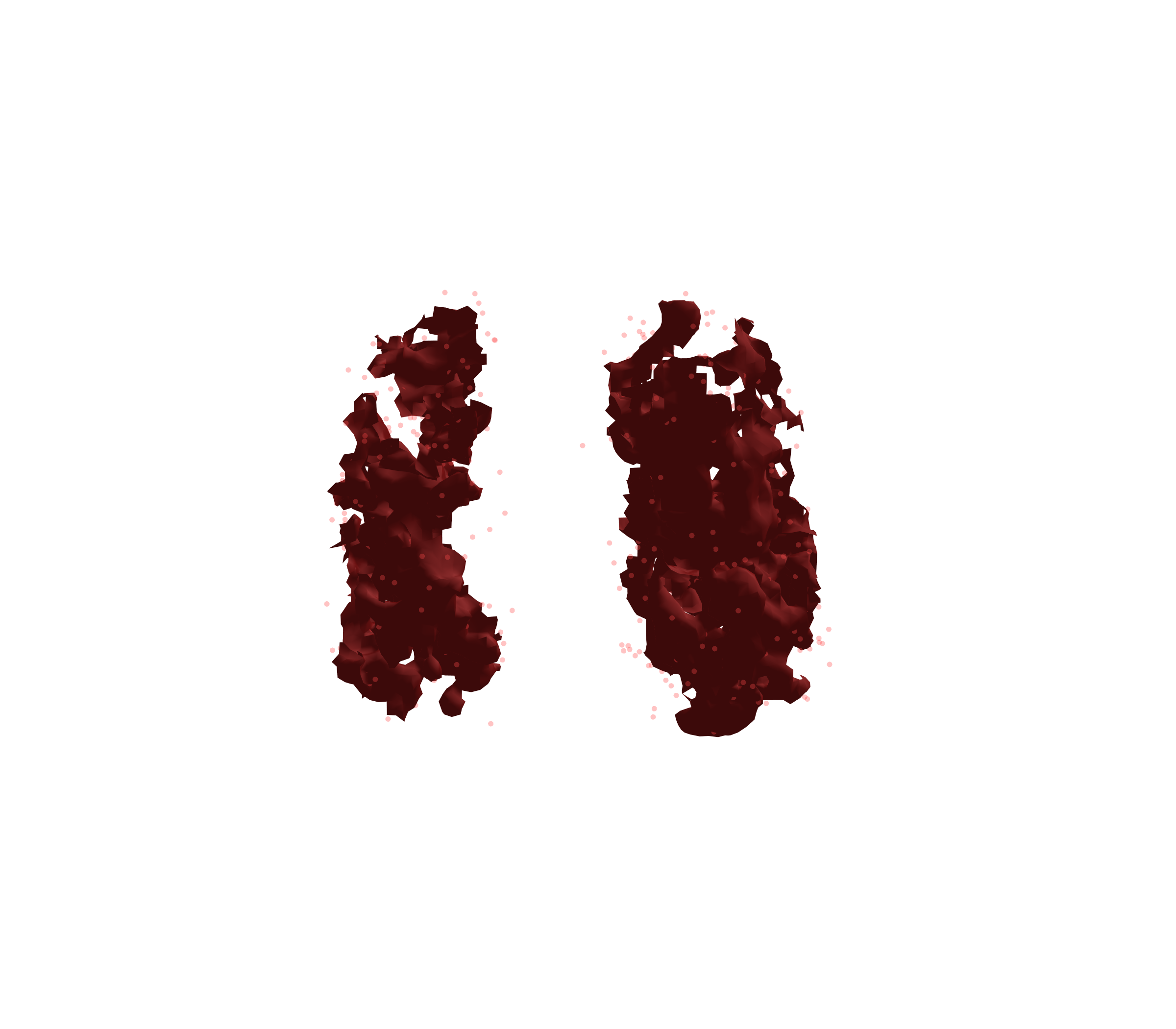 Combined Visualization (Expiration) - Front View