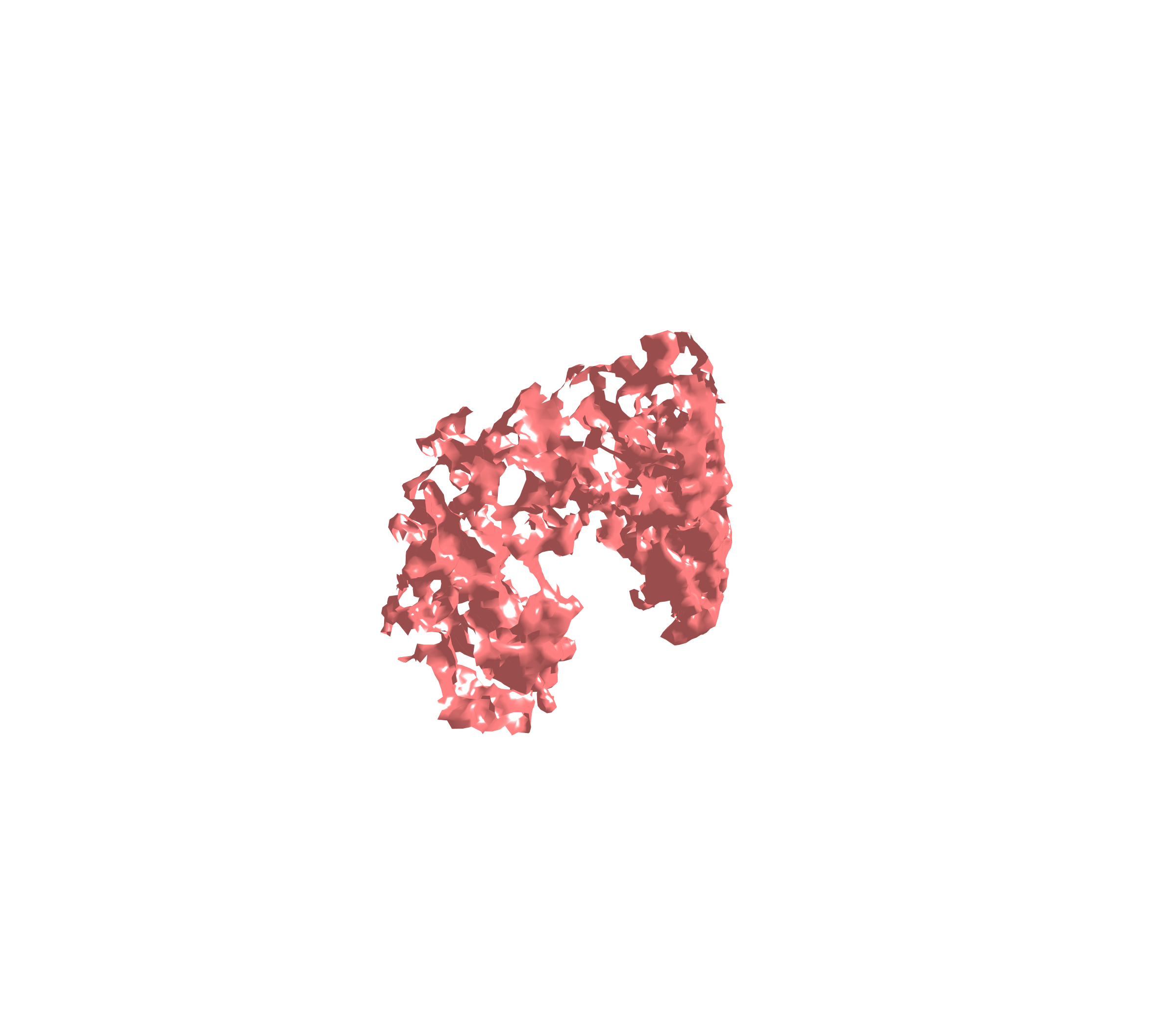 Surface (Expiration) - Diagonal View