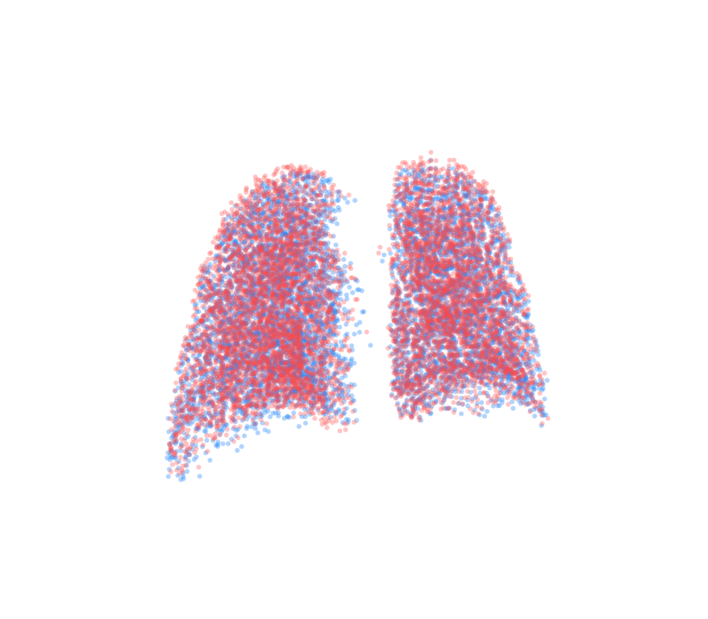 Point Cloud - Back View