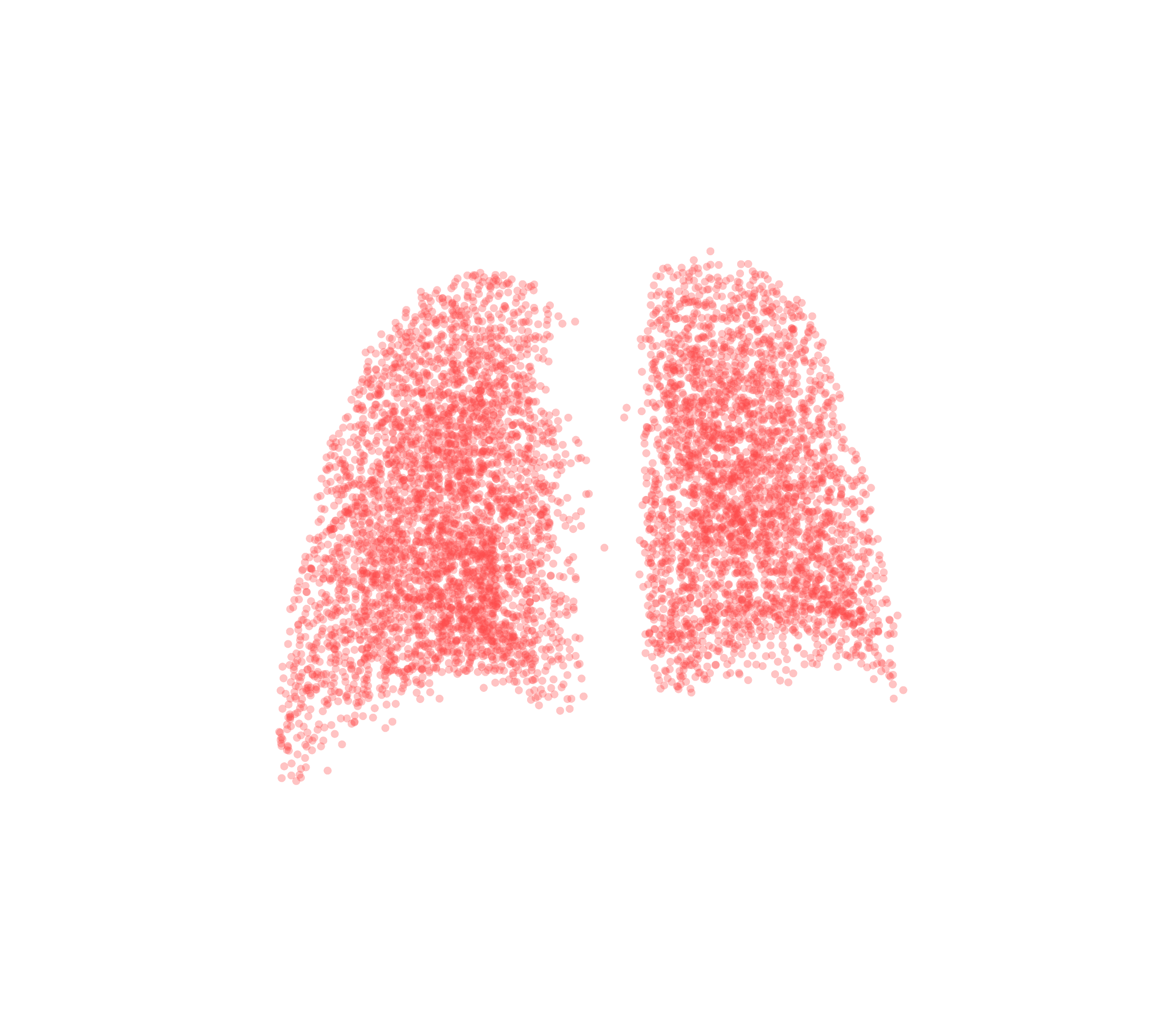 Point Cloud (Expiration) - Back View