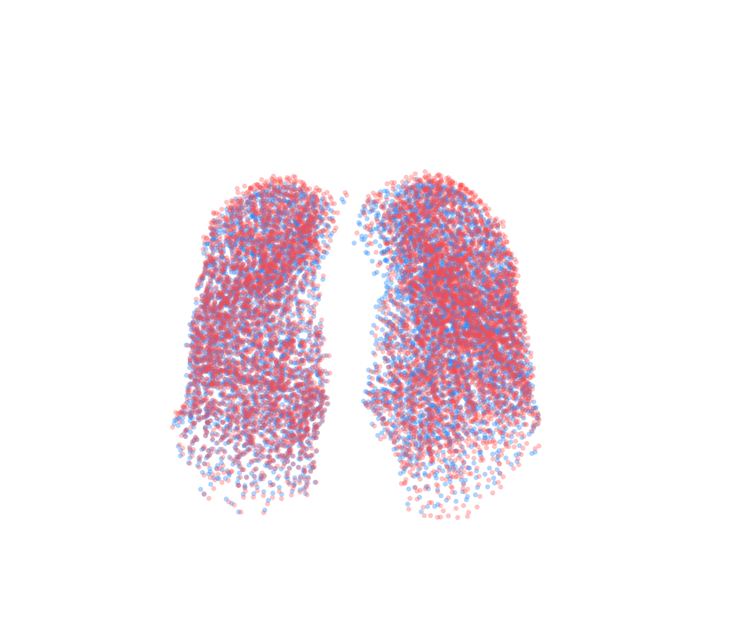 Point Cloud - Front View