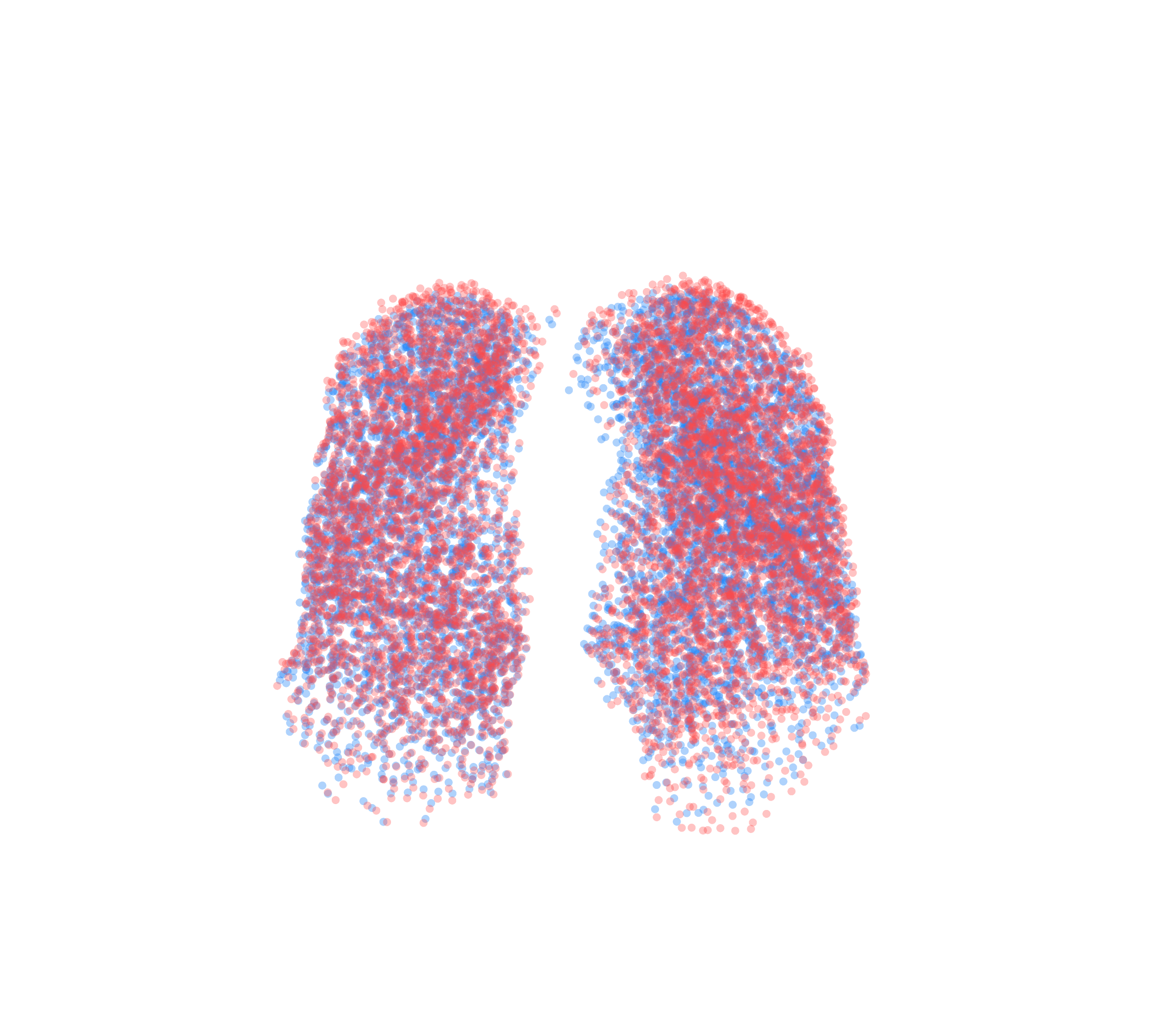 Point Cloud - Front View