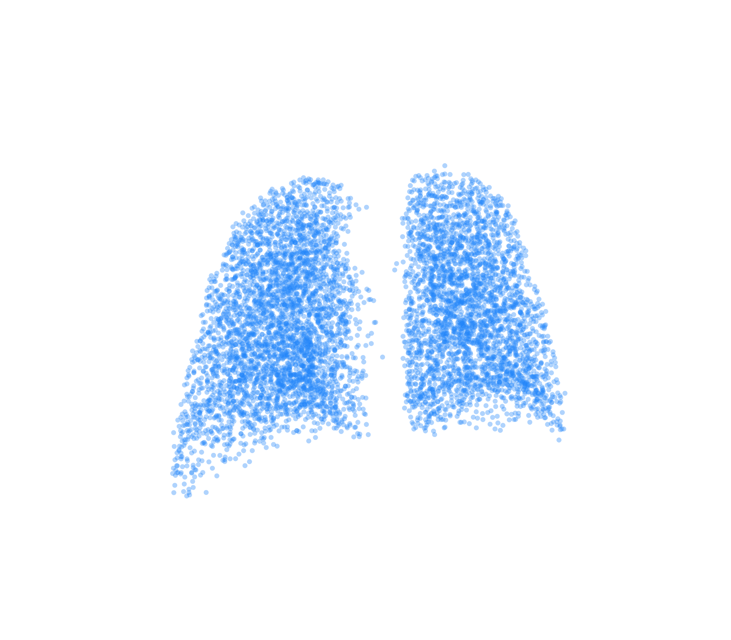 Point Cloud (Inspiration) - Back View