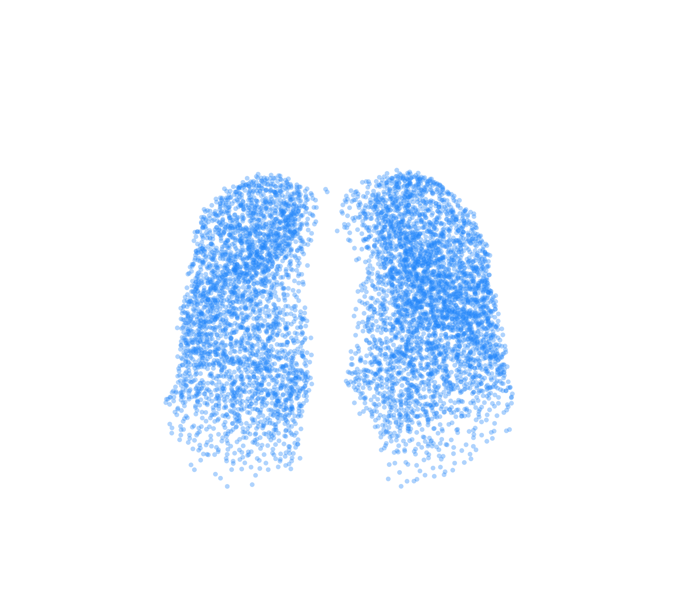 Point Cloud (Inspiration) - Front View