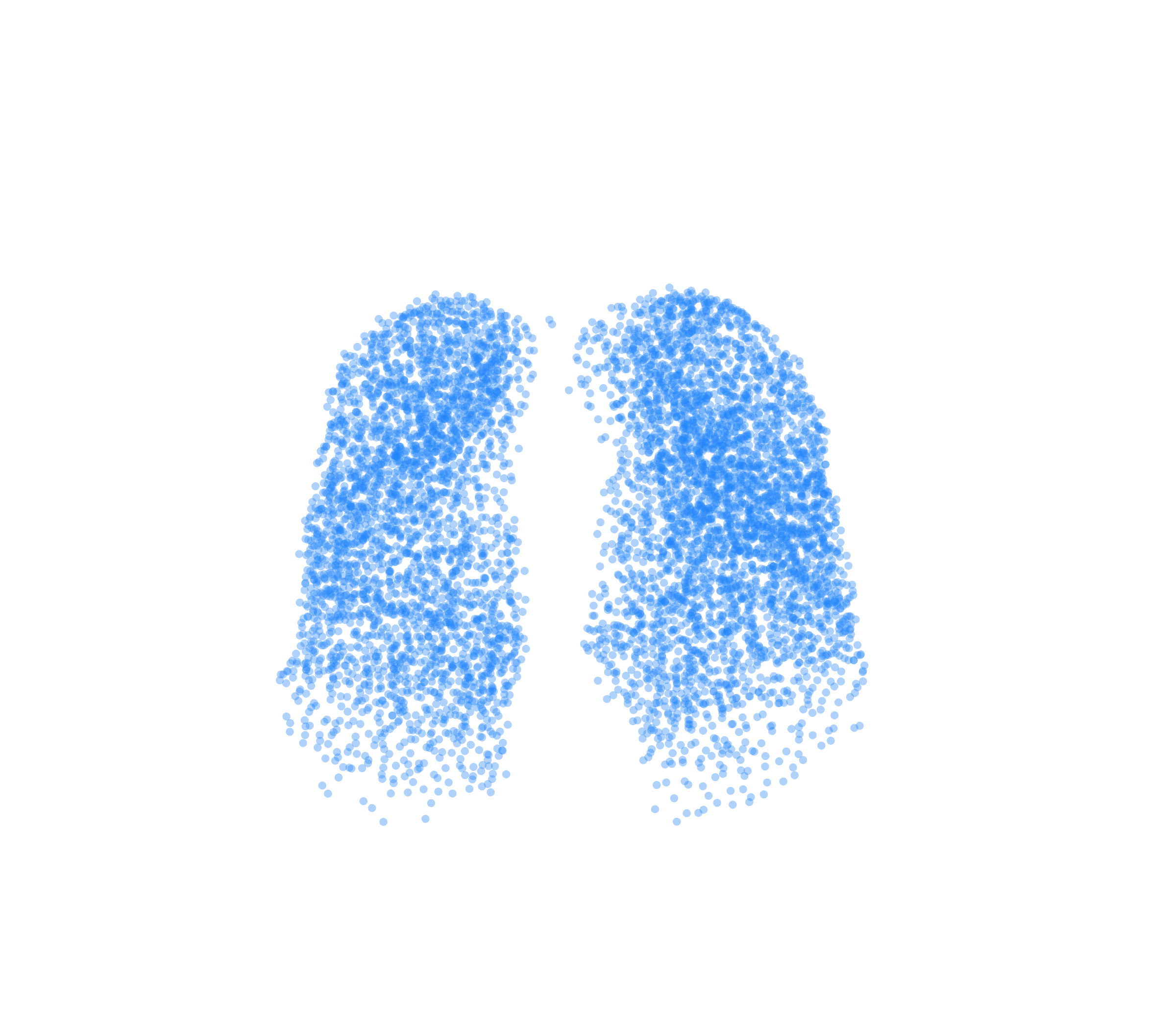 Point Cloud (Inspiration) - Front View