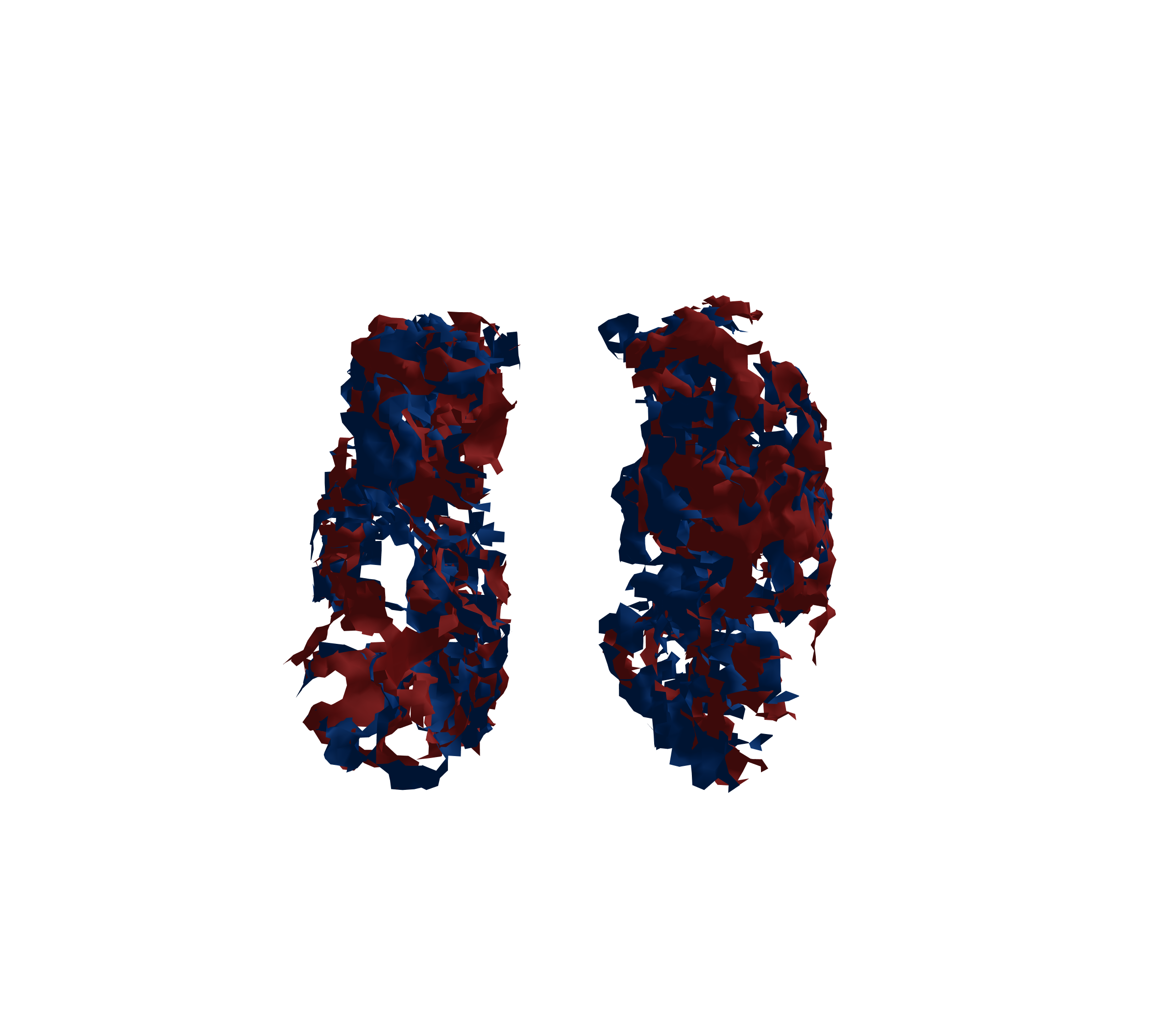 Surface Mesh - Front View