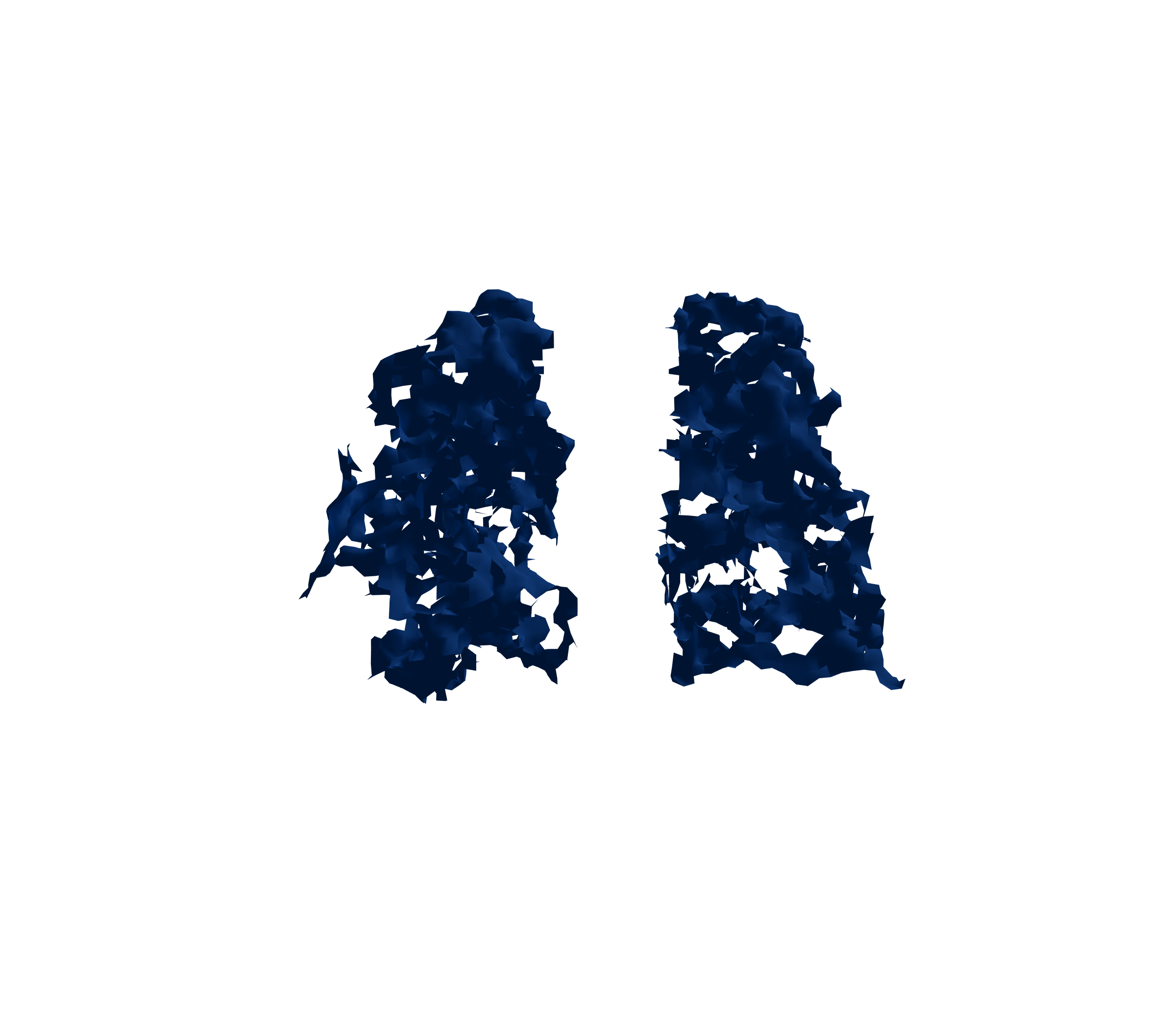 Surface Mesh (Inspiration) - Back View