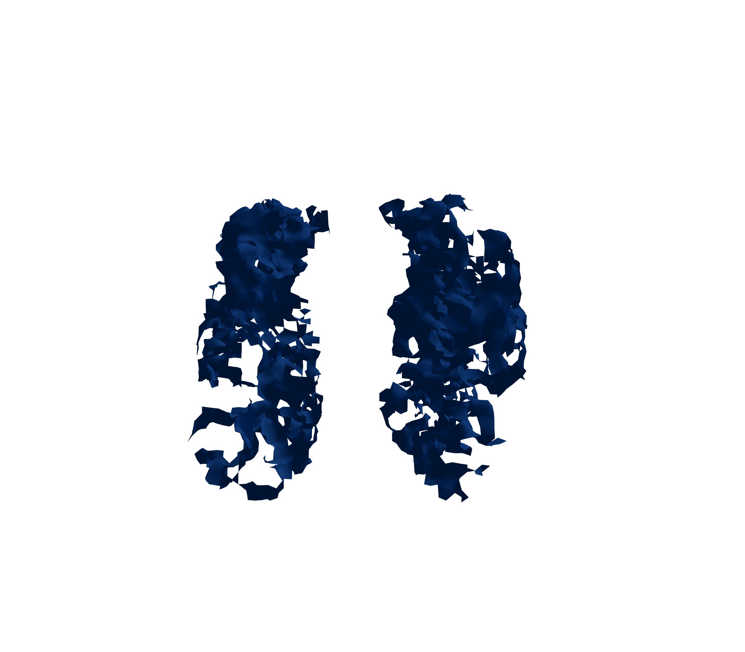 Surface Mesh (Inspiration) - Front View