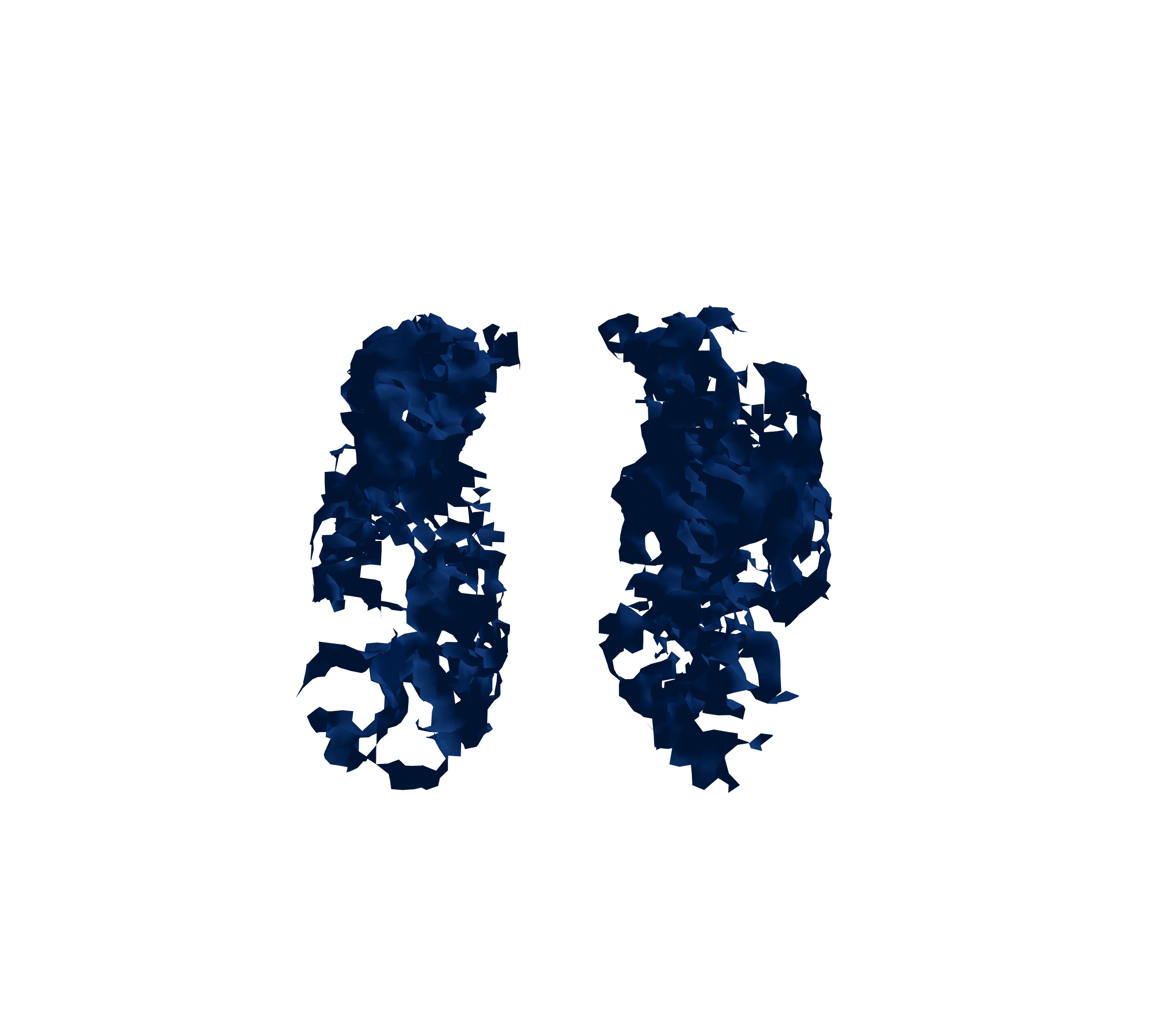 Surface Mesh (Inspiration) - Front View