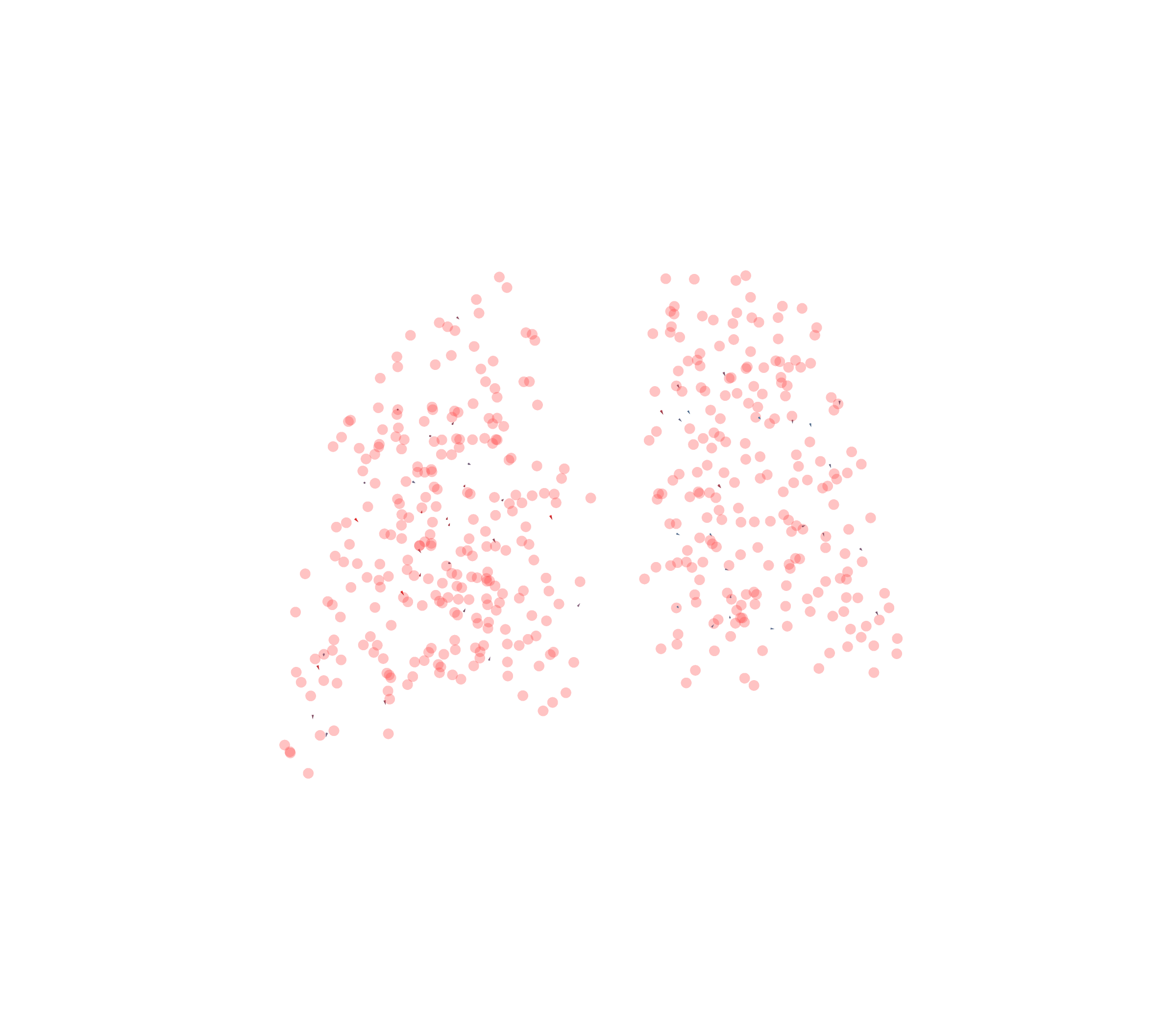 Displacement Vectors - Back View