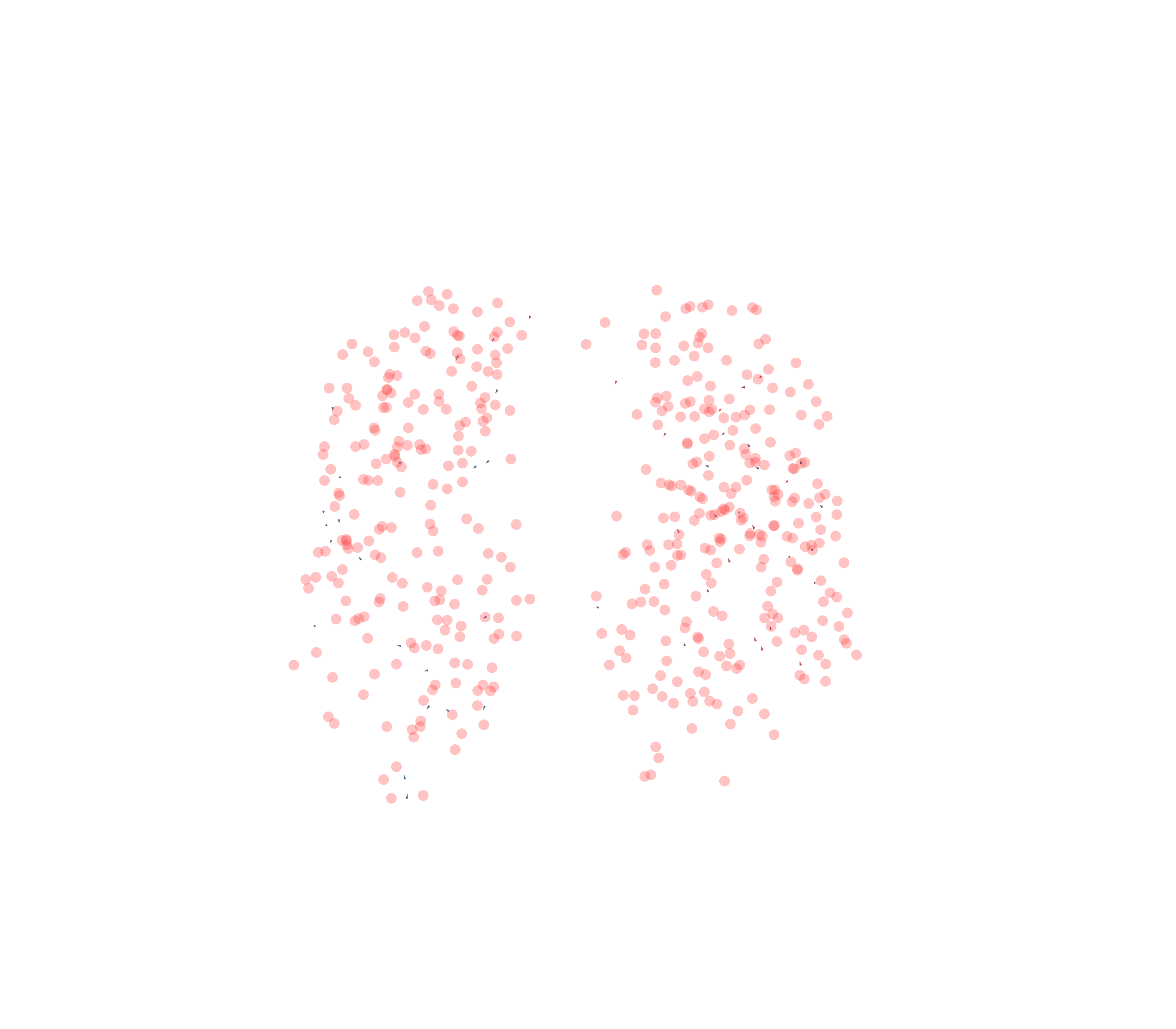 Displacement Vectors - Front View