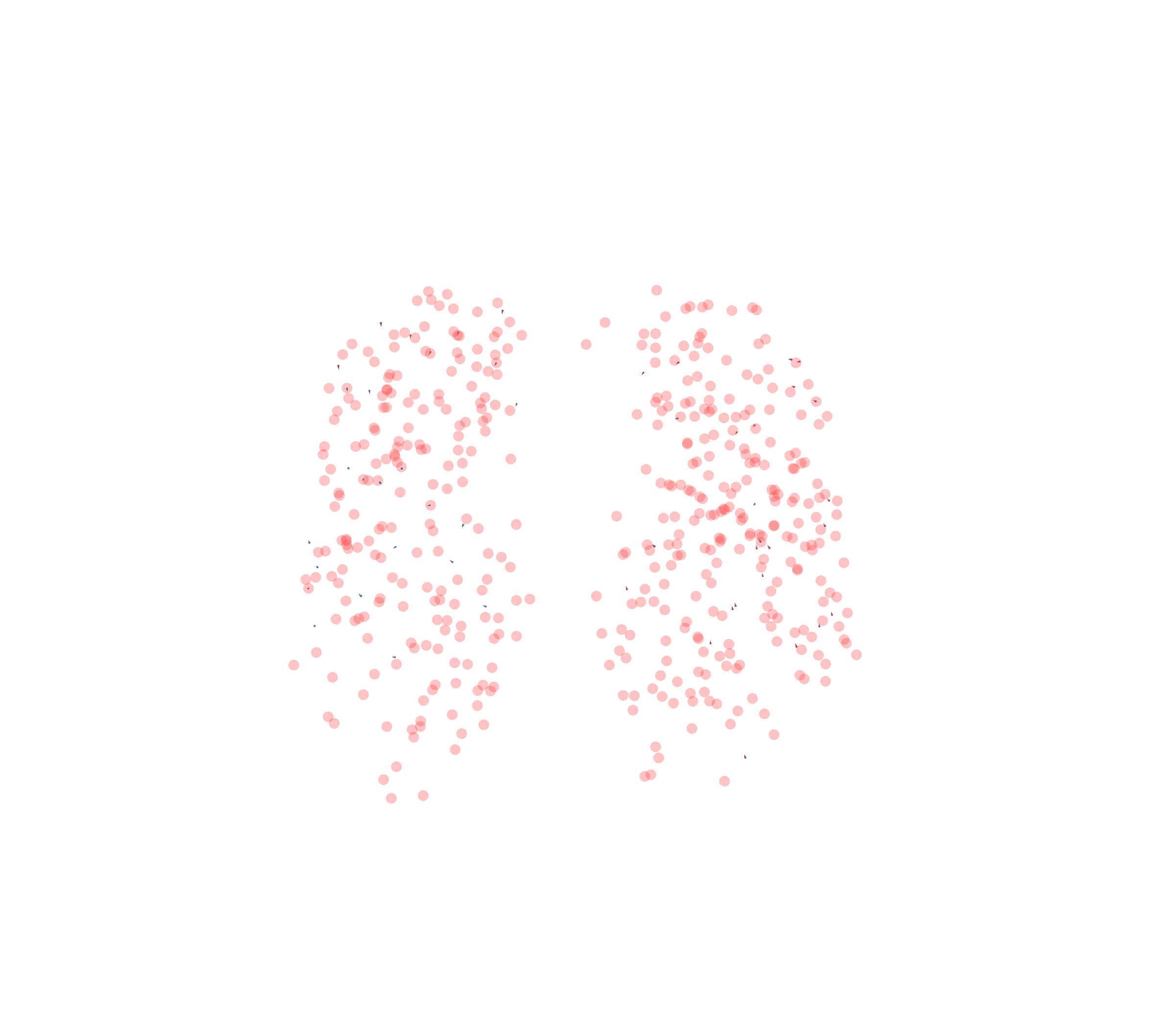 Displacement Vectors - Front View