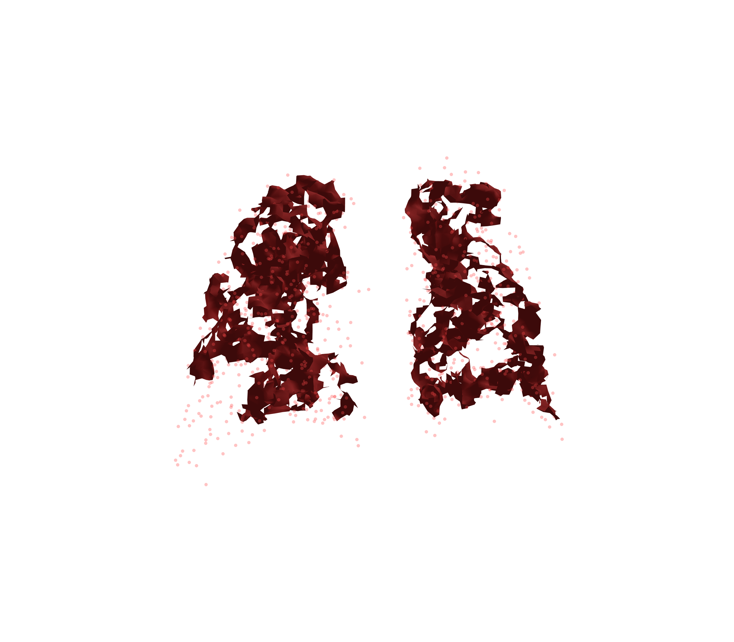 Combined Visualization (Expiration) - Back View