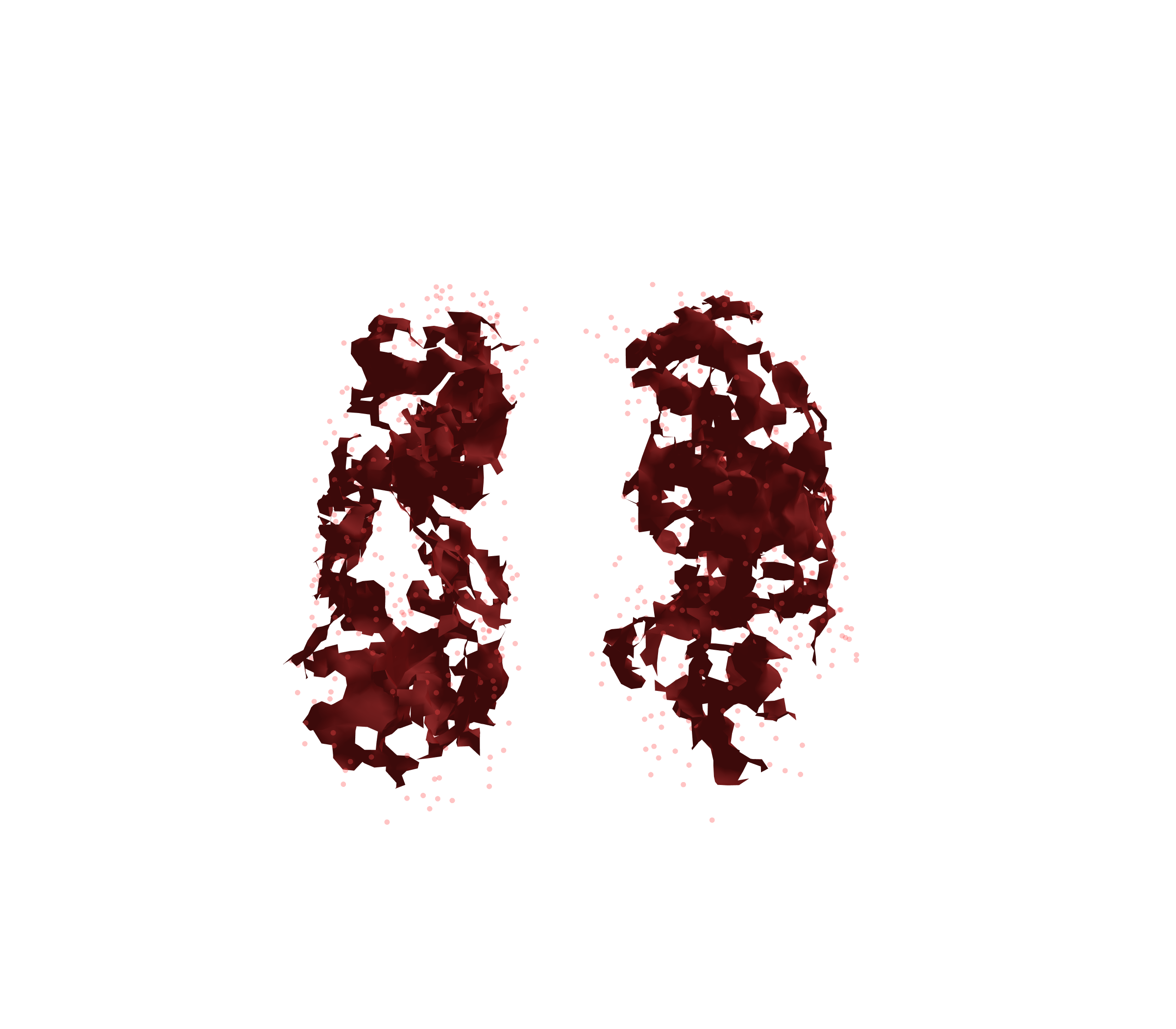 Combined Visualization (Expiration) - Front View