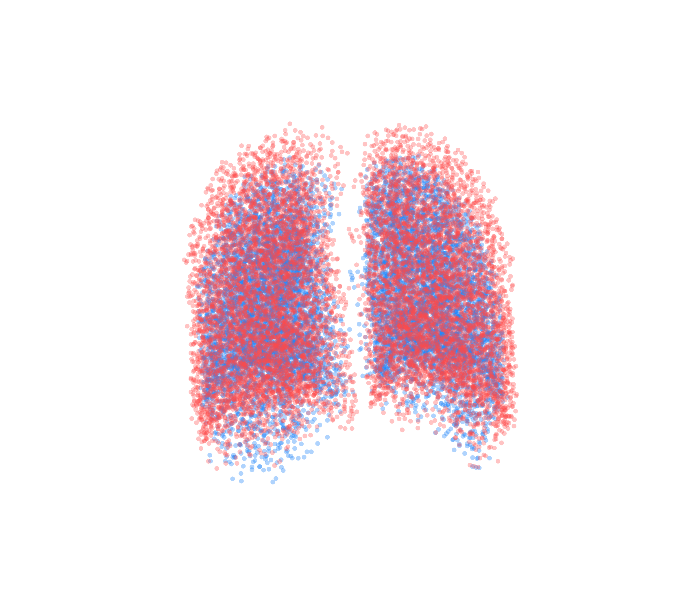 Point Cloud - Back View