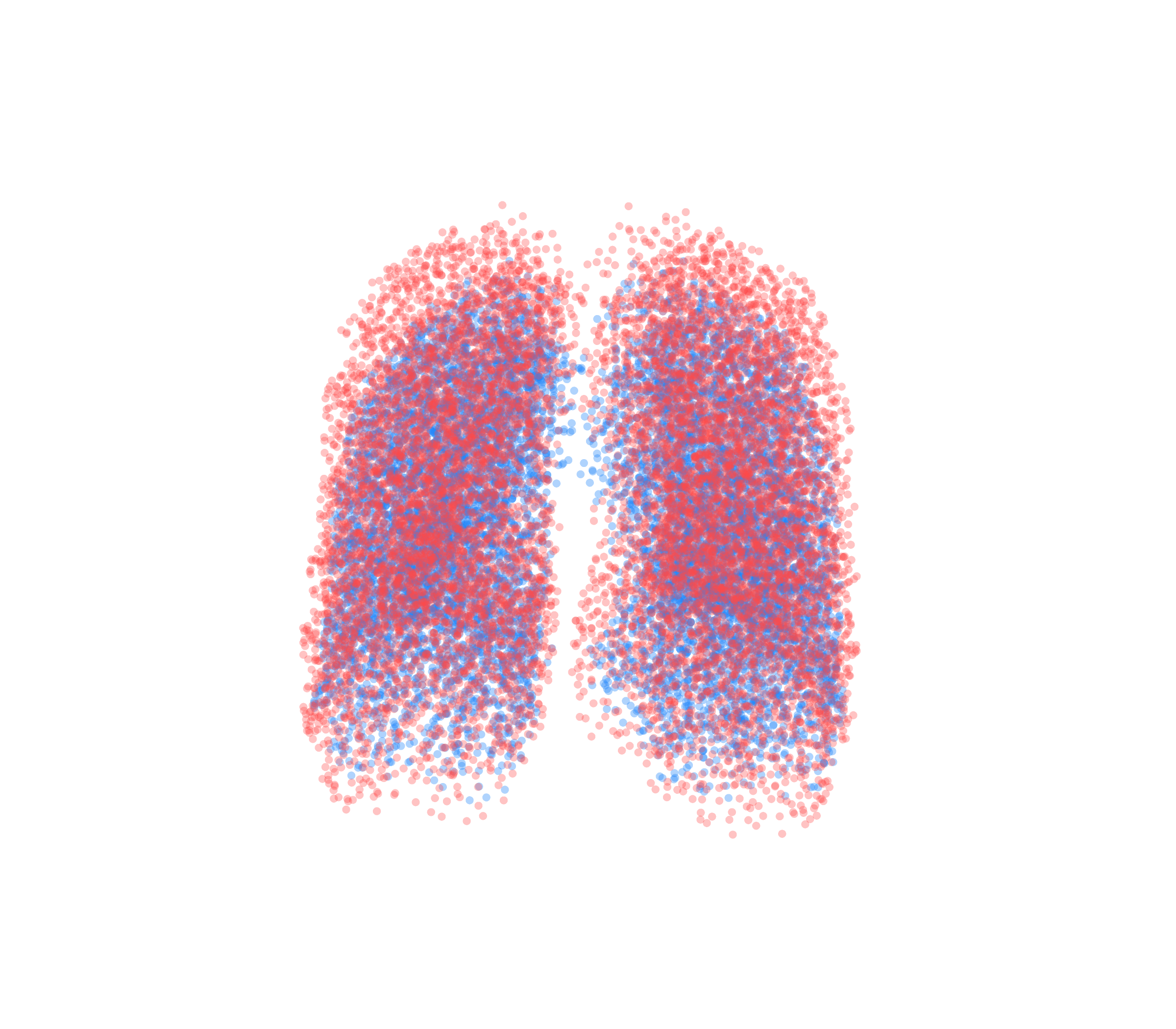 Point Cloud - Front View
