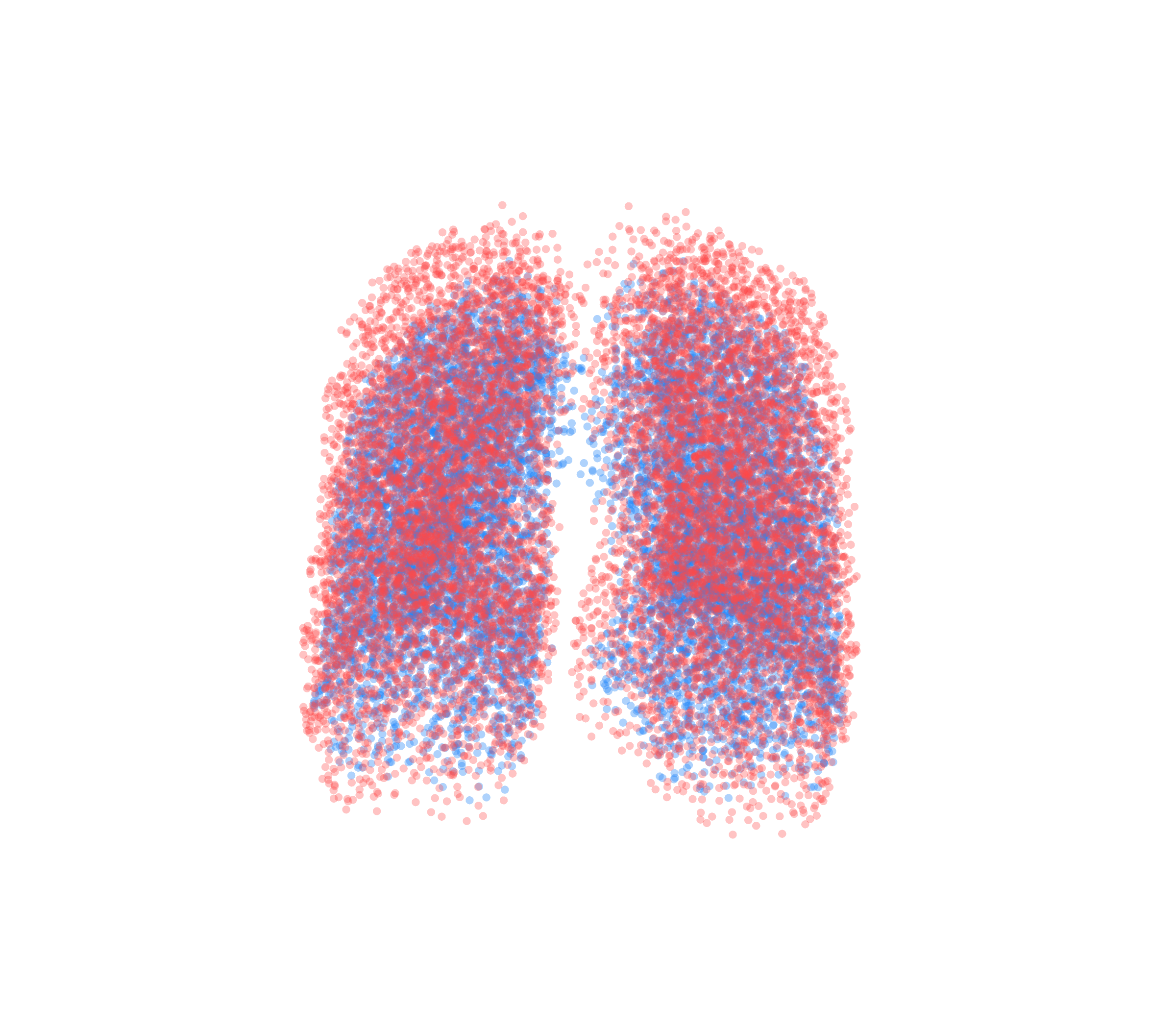 Point Cloud - Front View