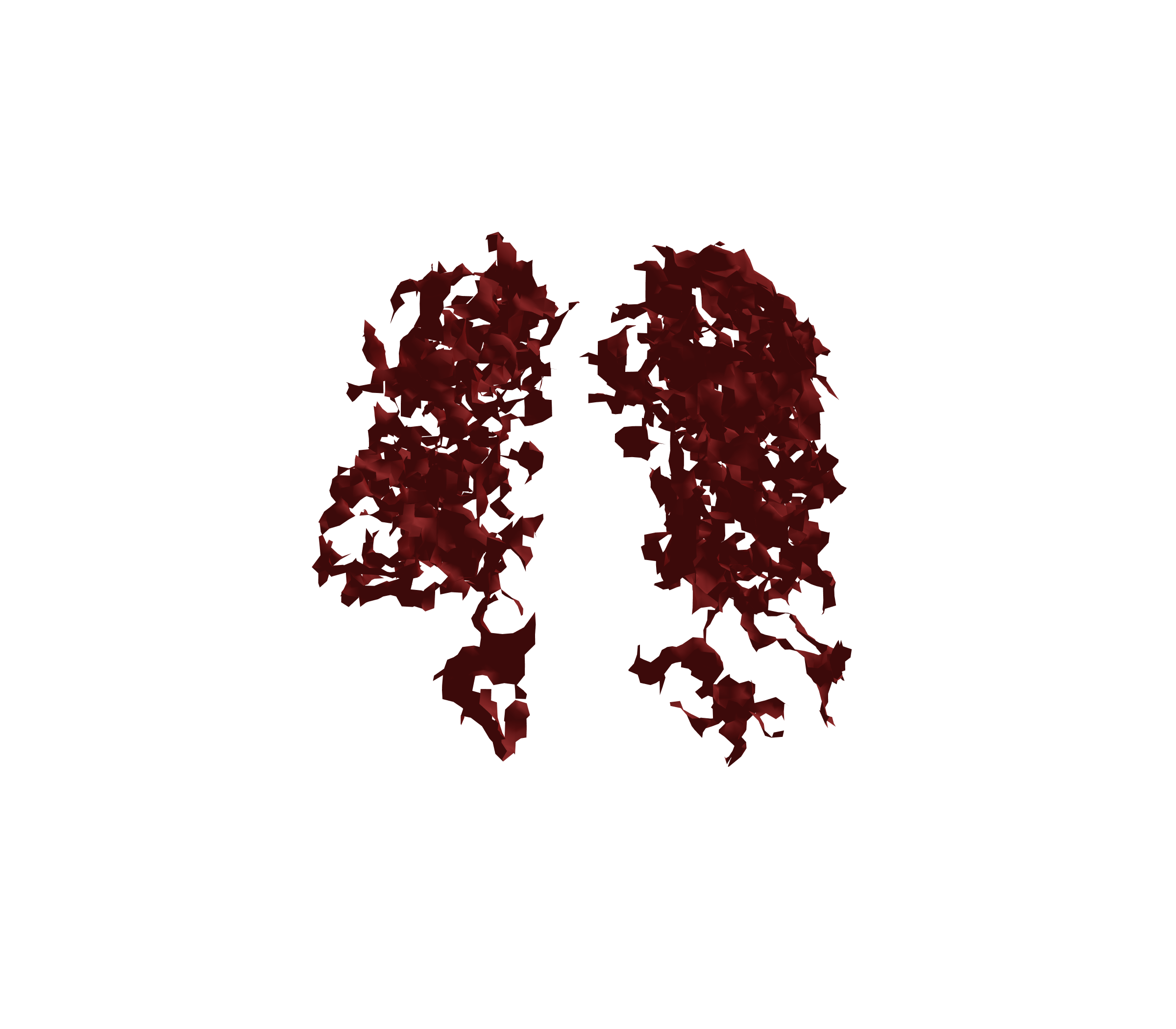 Surface Mesh (Expiration) - Front View