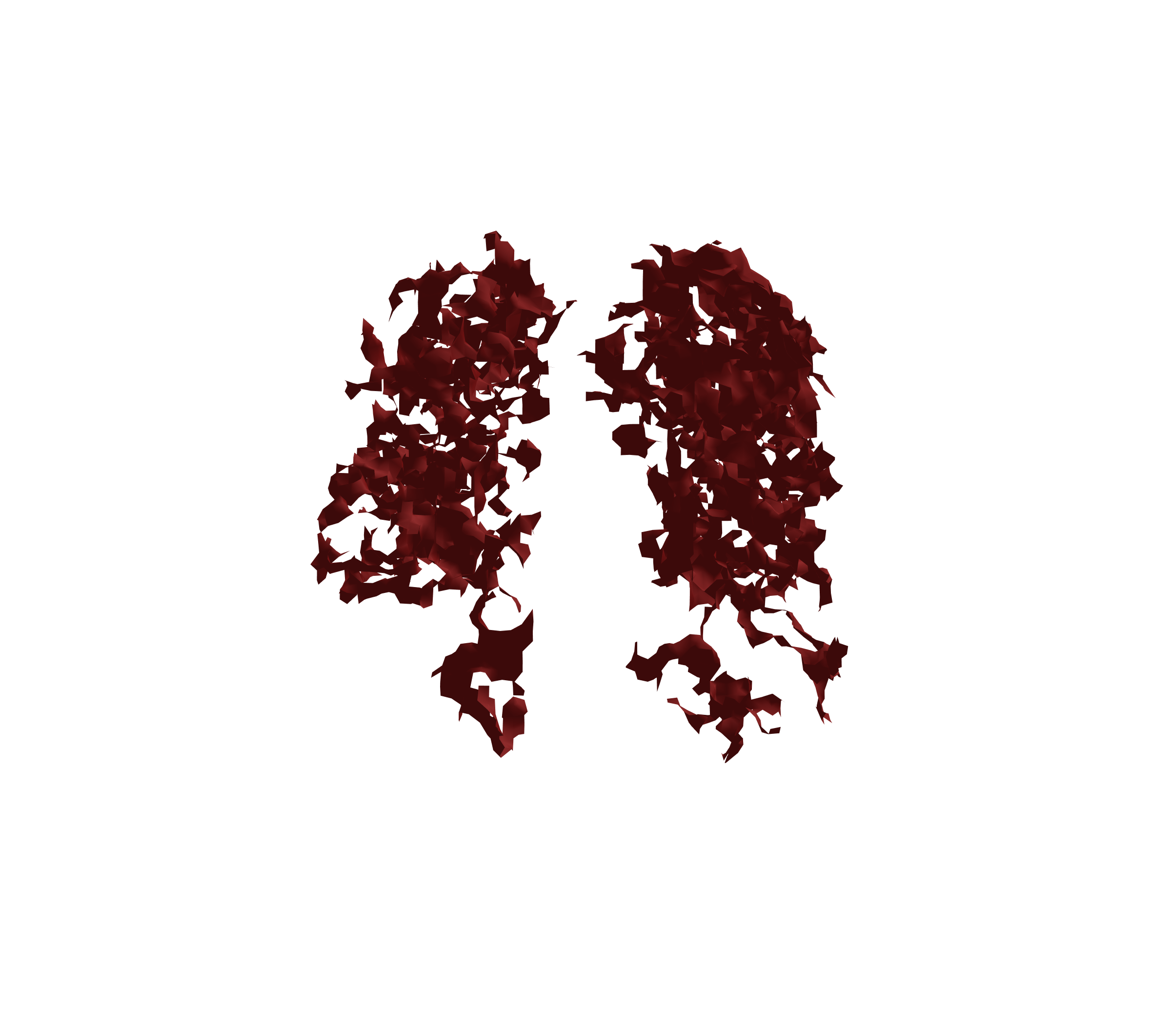 Surface Mesh (Expiration) - Front View