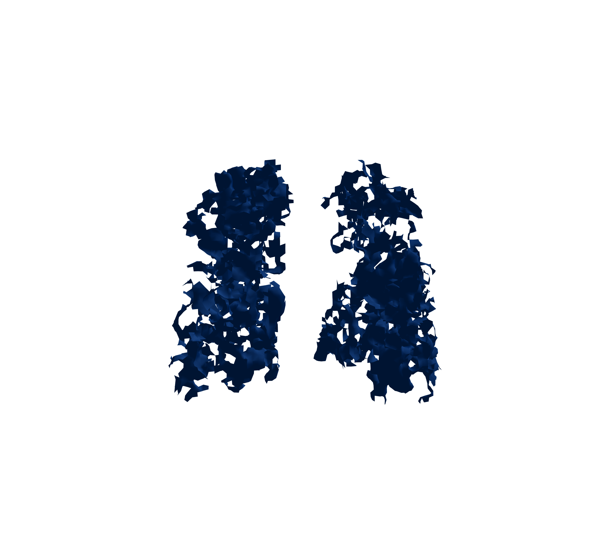 Surface Mesh (Inspiration) - Front View