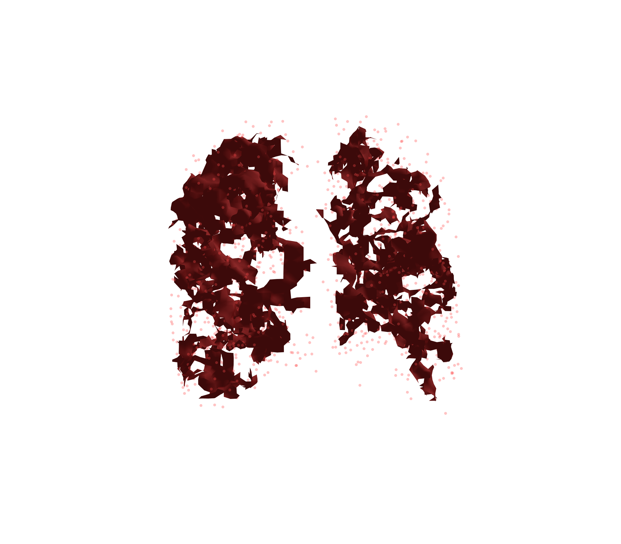 Combined Visualization (Expiration) - Back View