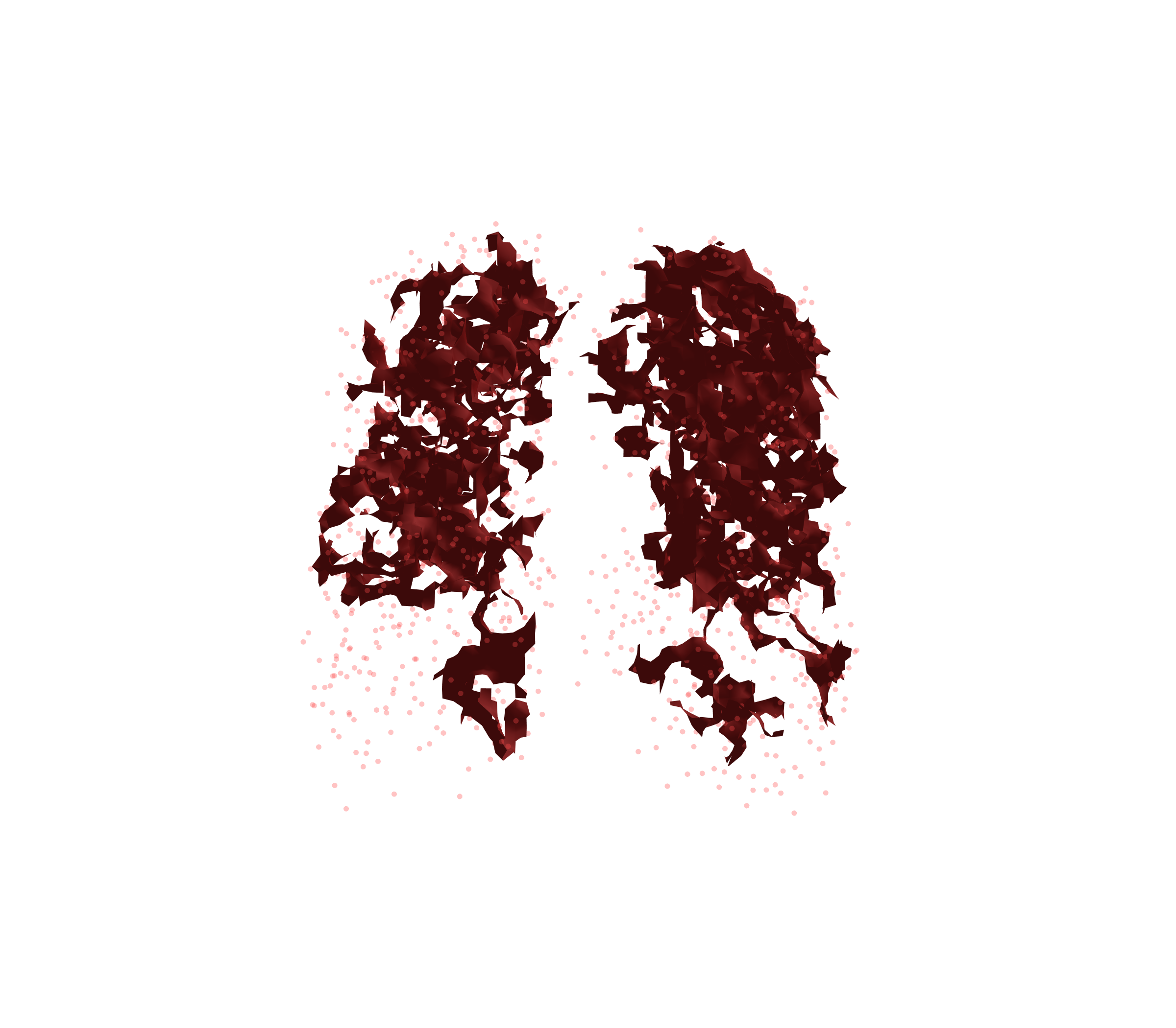 Combined Visualization (Expiration) - Front View