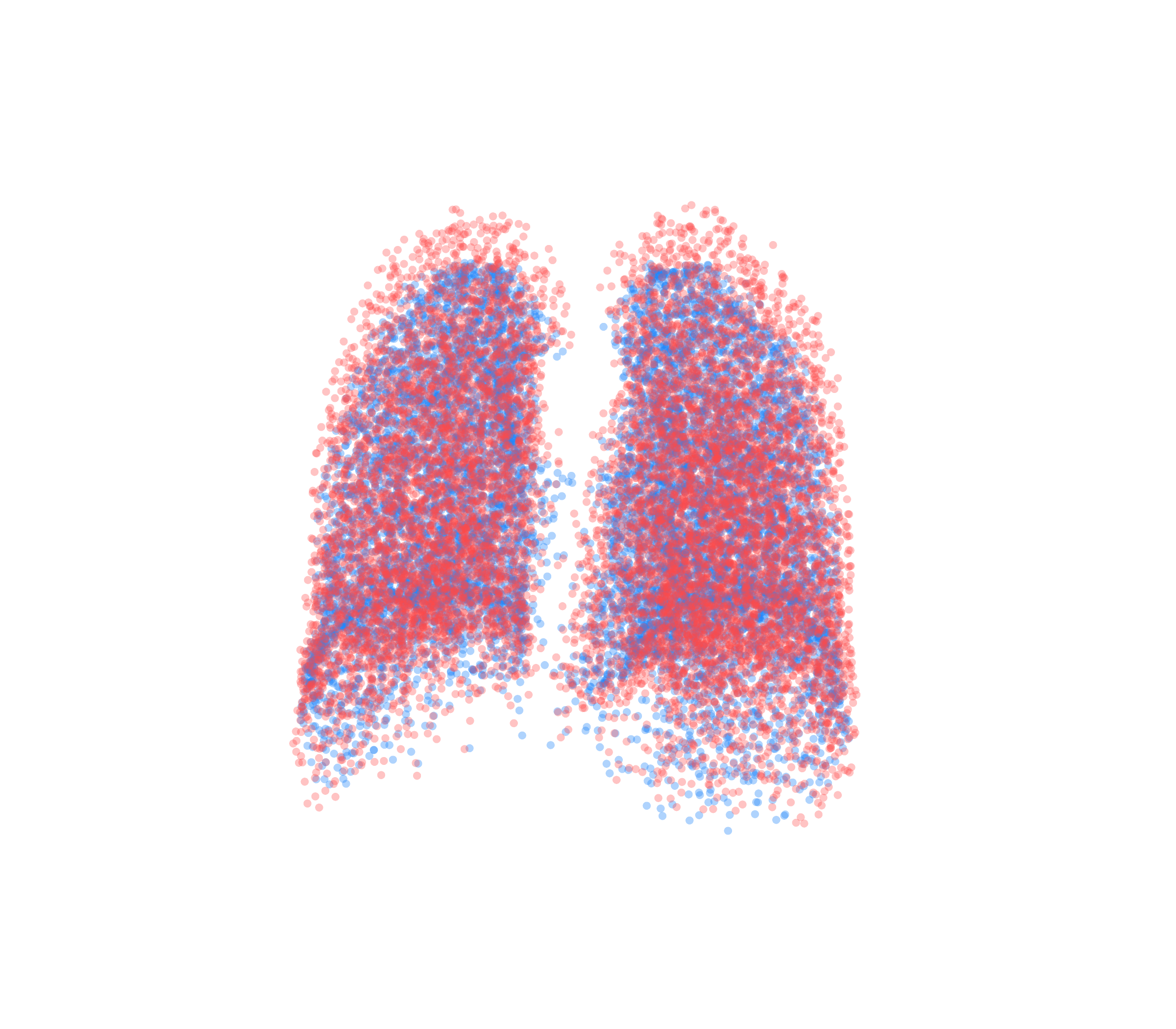 Point Cloud - Back View
