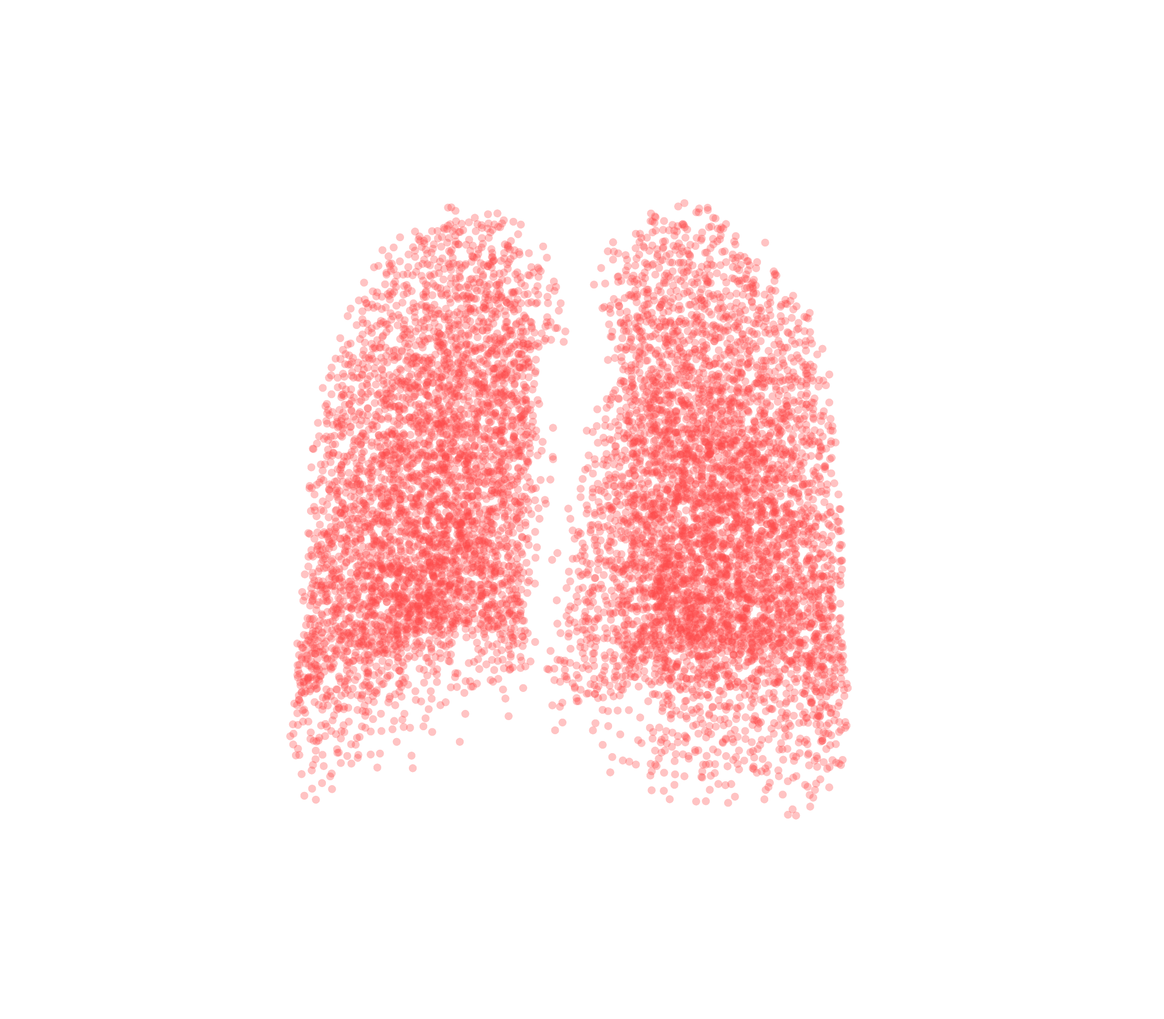 Point Cloud (Expiration) - Back View