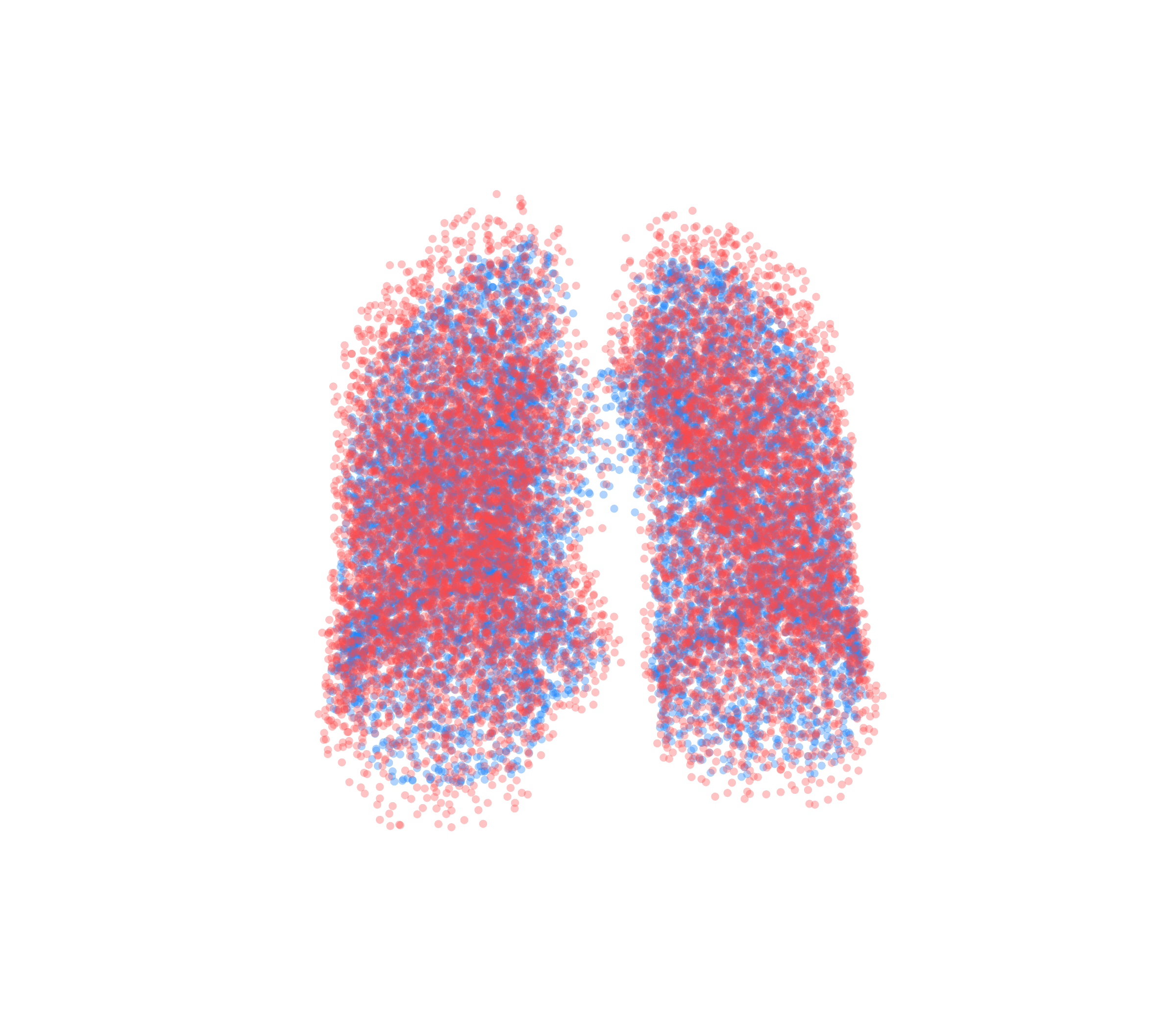 Point Cloud - Front View