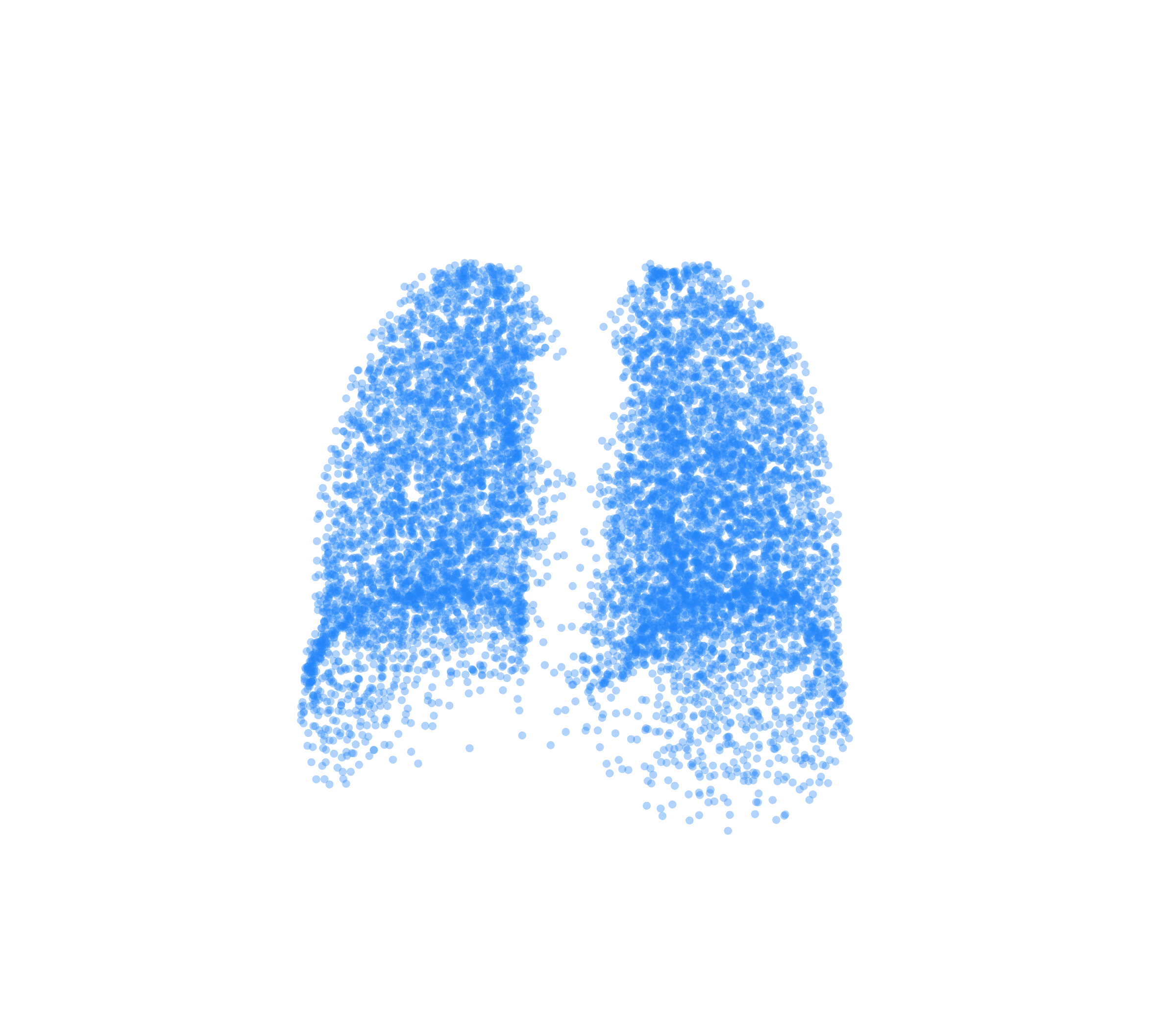 Point Cloud (Inspiration) - Back View