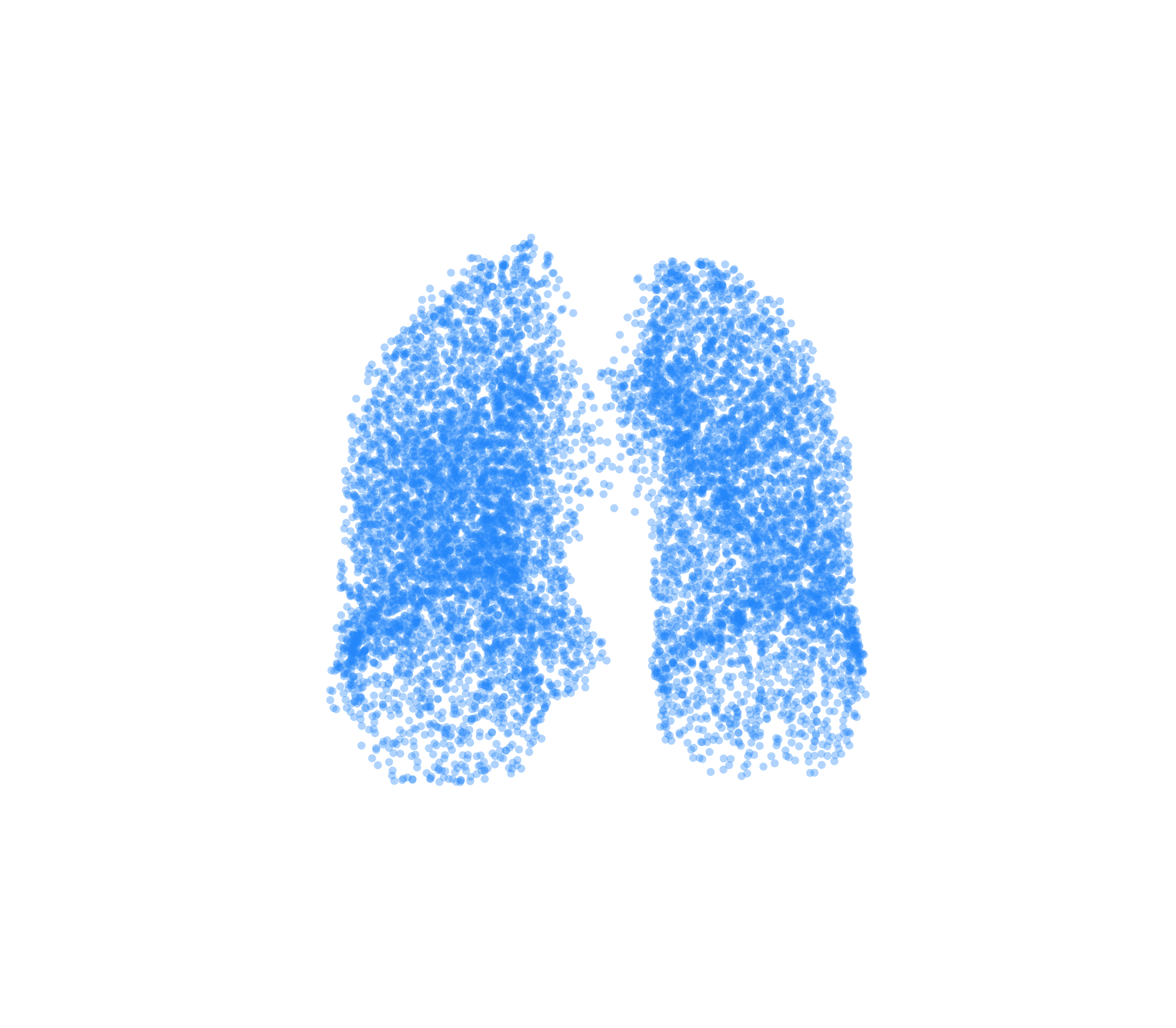 Point Cloud (Inspiration) - Front View