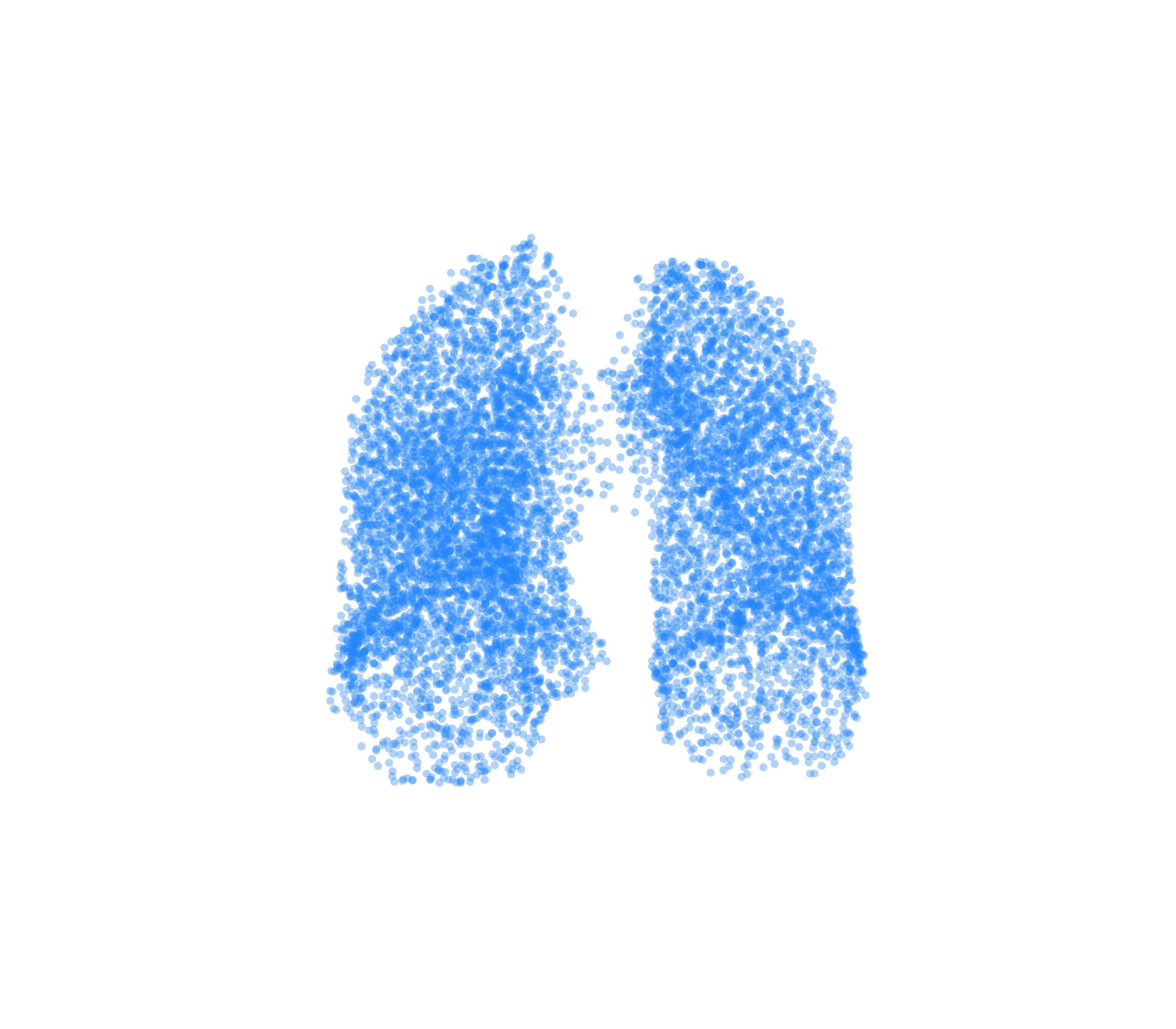 Point Cloud (Inspiration) - Front View